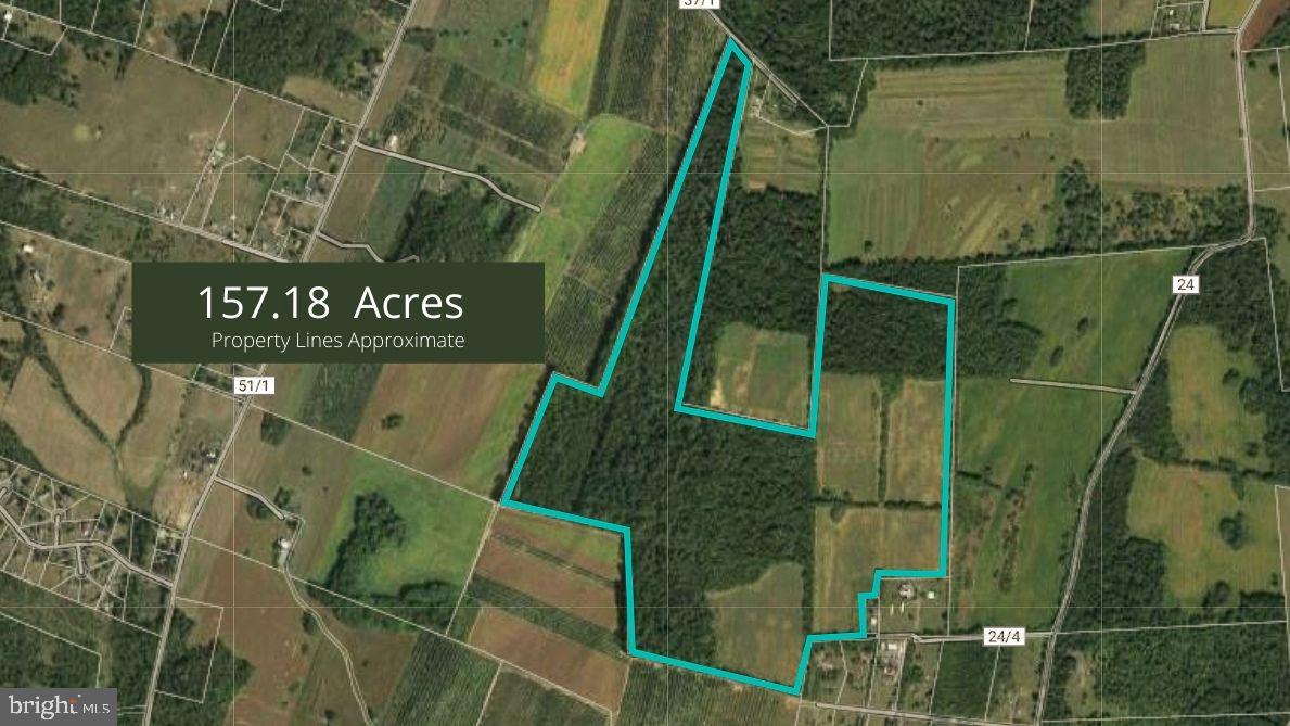 157 Acres Hollis Drive ROAD