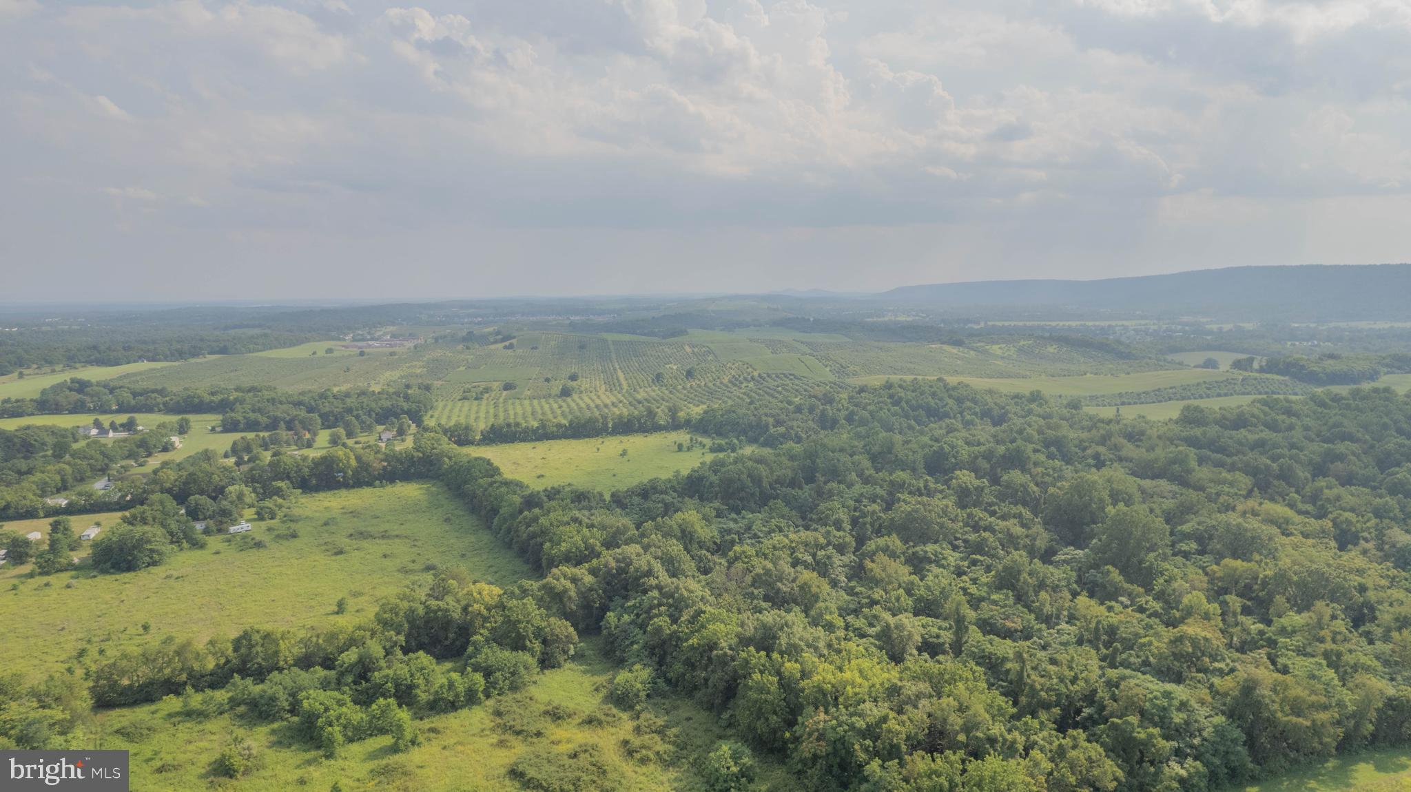 157 Acres Hollis Drive ROAD