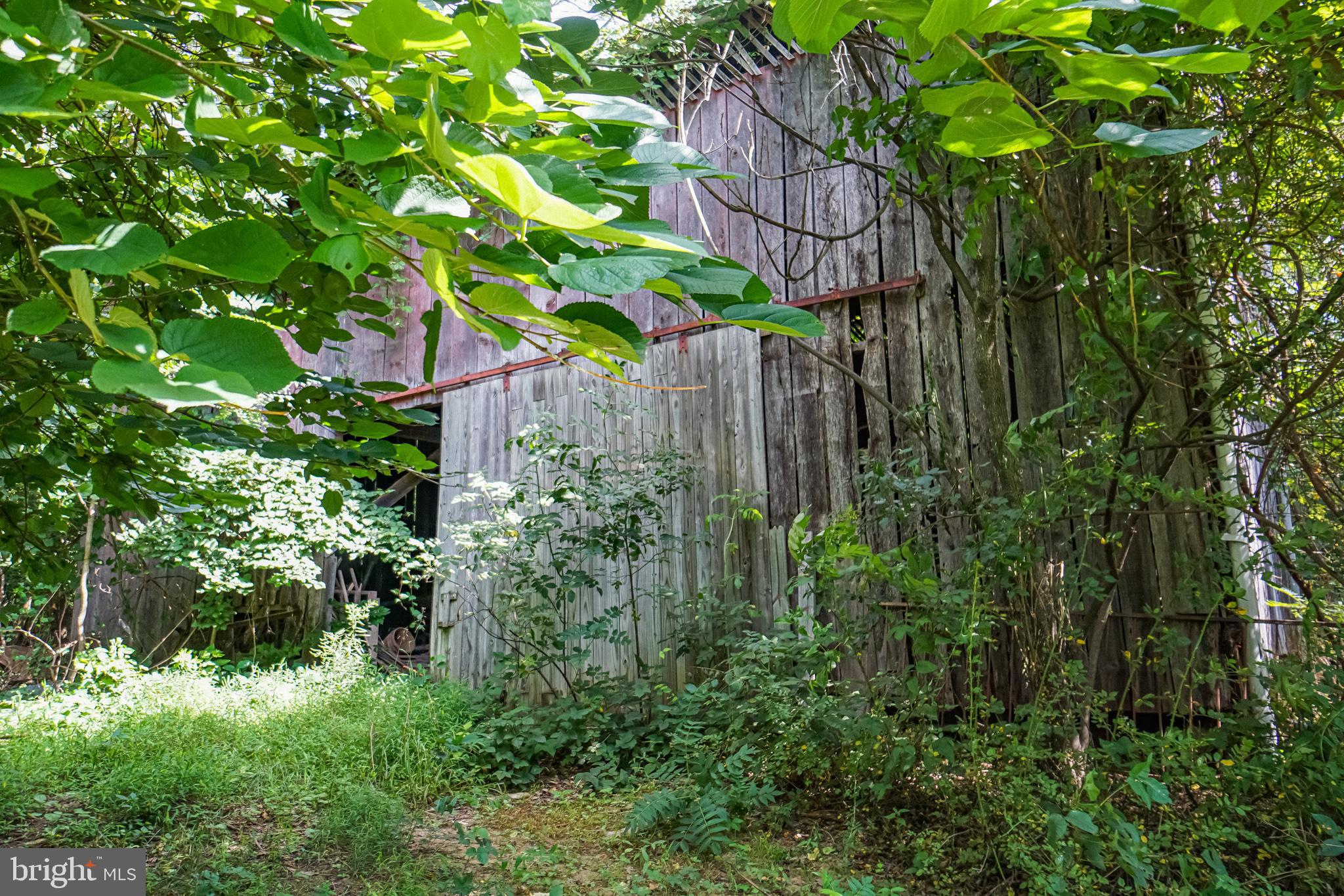 157 Acres Hollis Drive ROAD