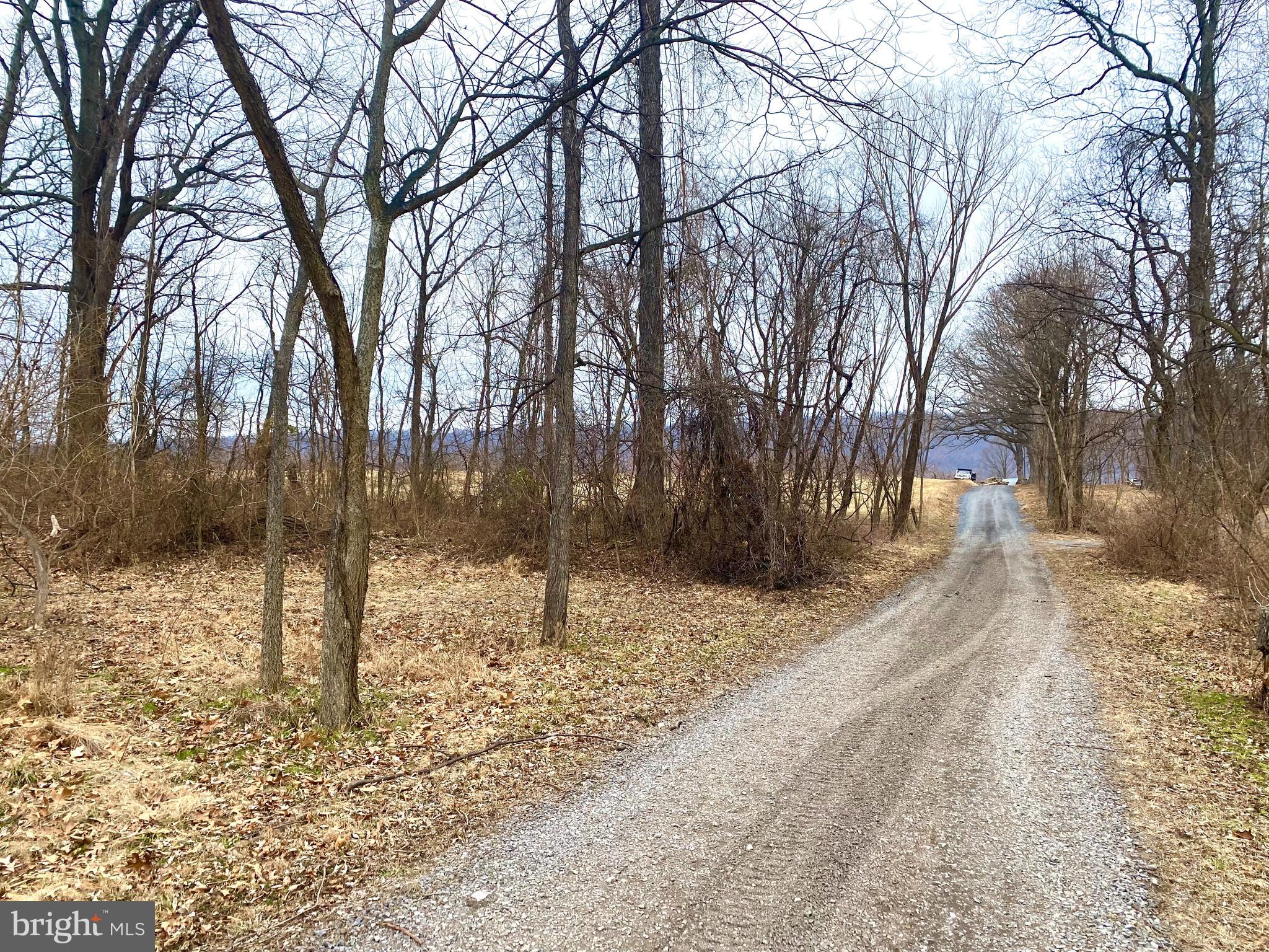 157 Acres Hollis Drive ROAD