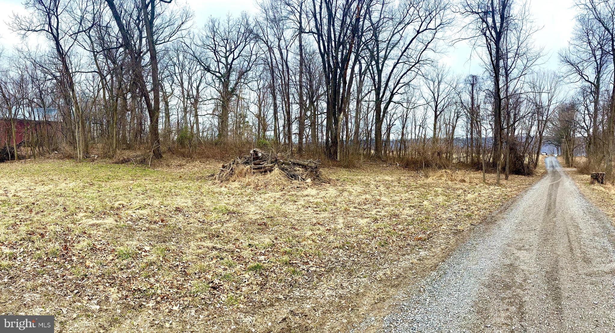 157 Acres Hollis Drive ROAD
