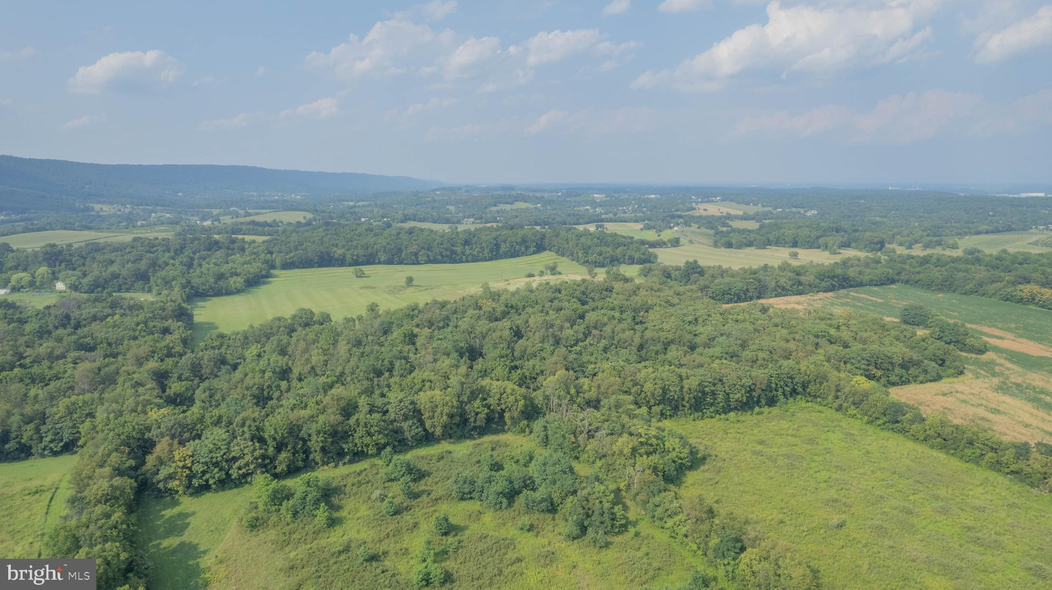 157 Acres Hollis Drive ROAD