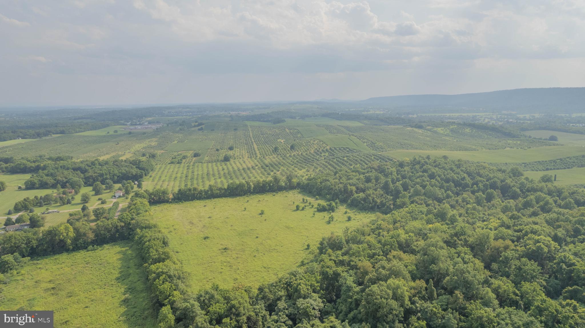 157 Acres Hollis Drive ROAD