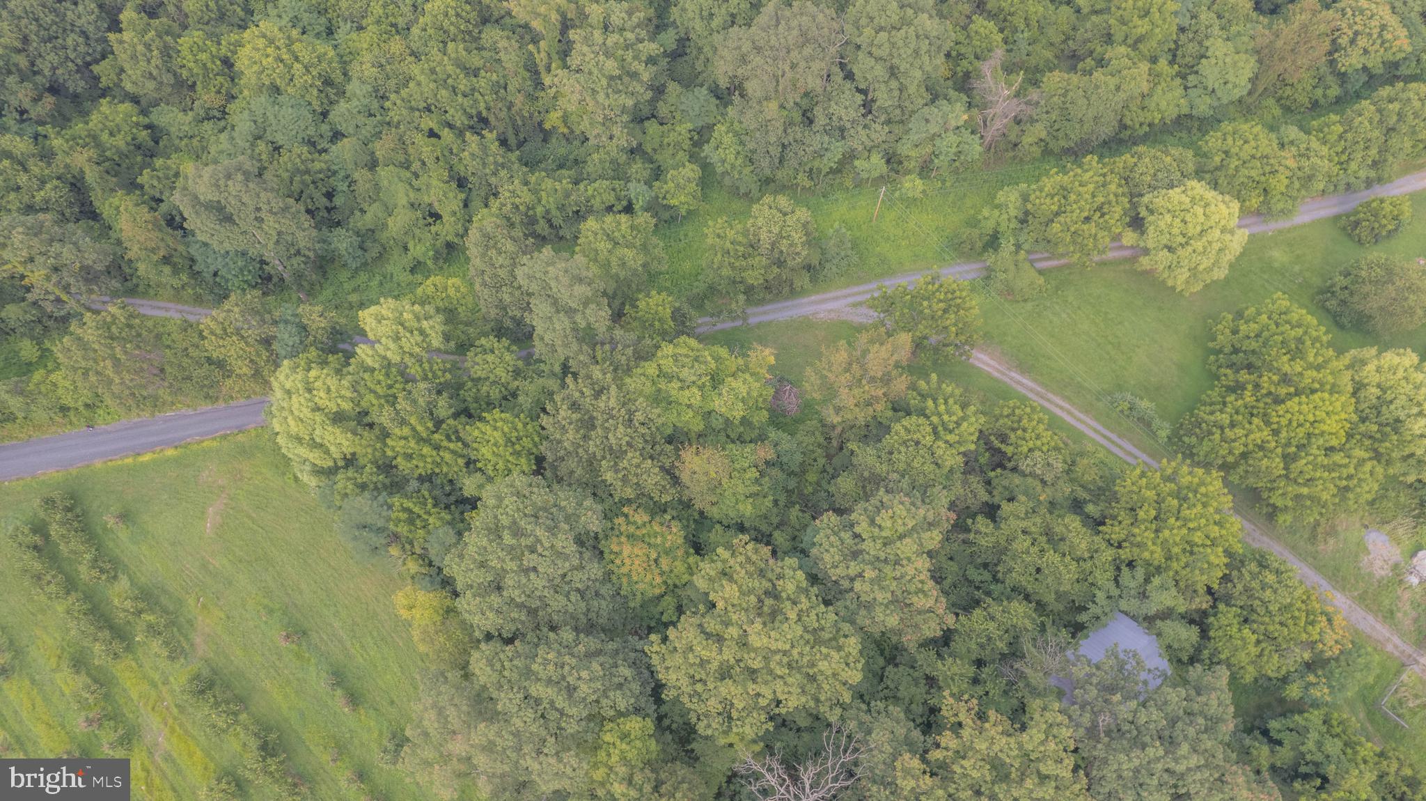 157 Acres Hollis Drive ROAD