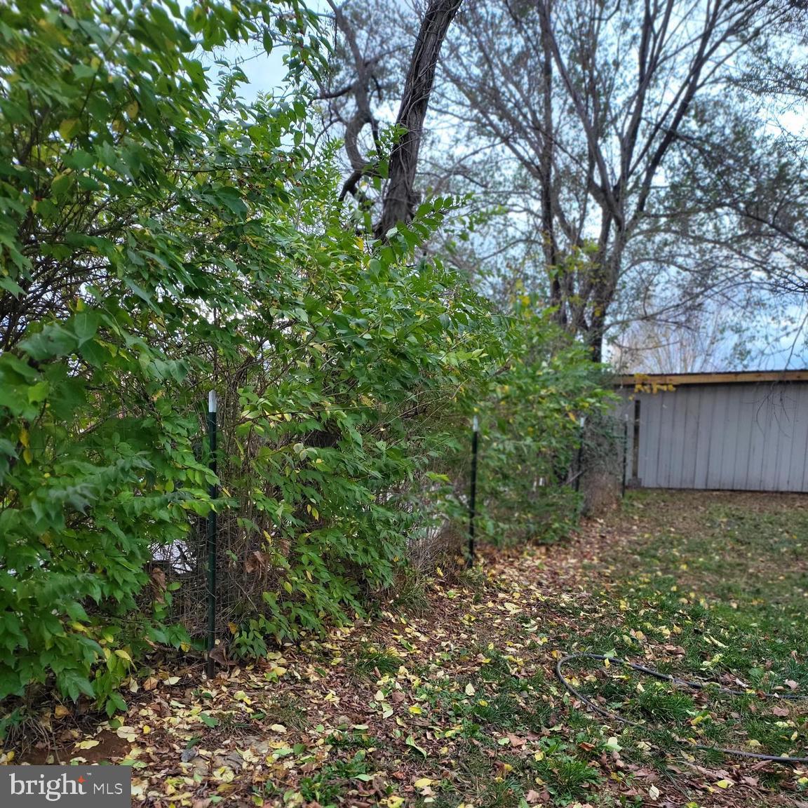 109 Daniel STREET