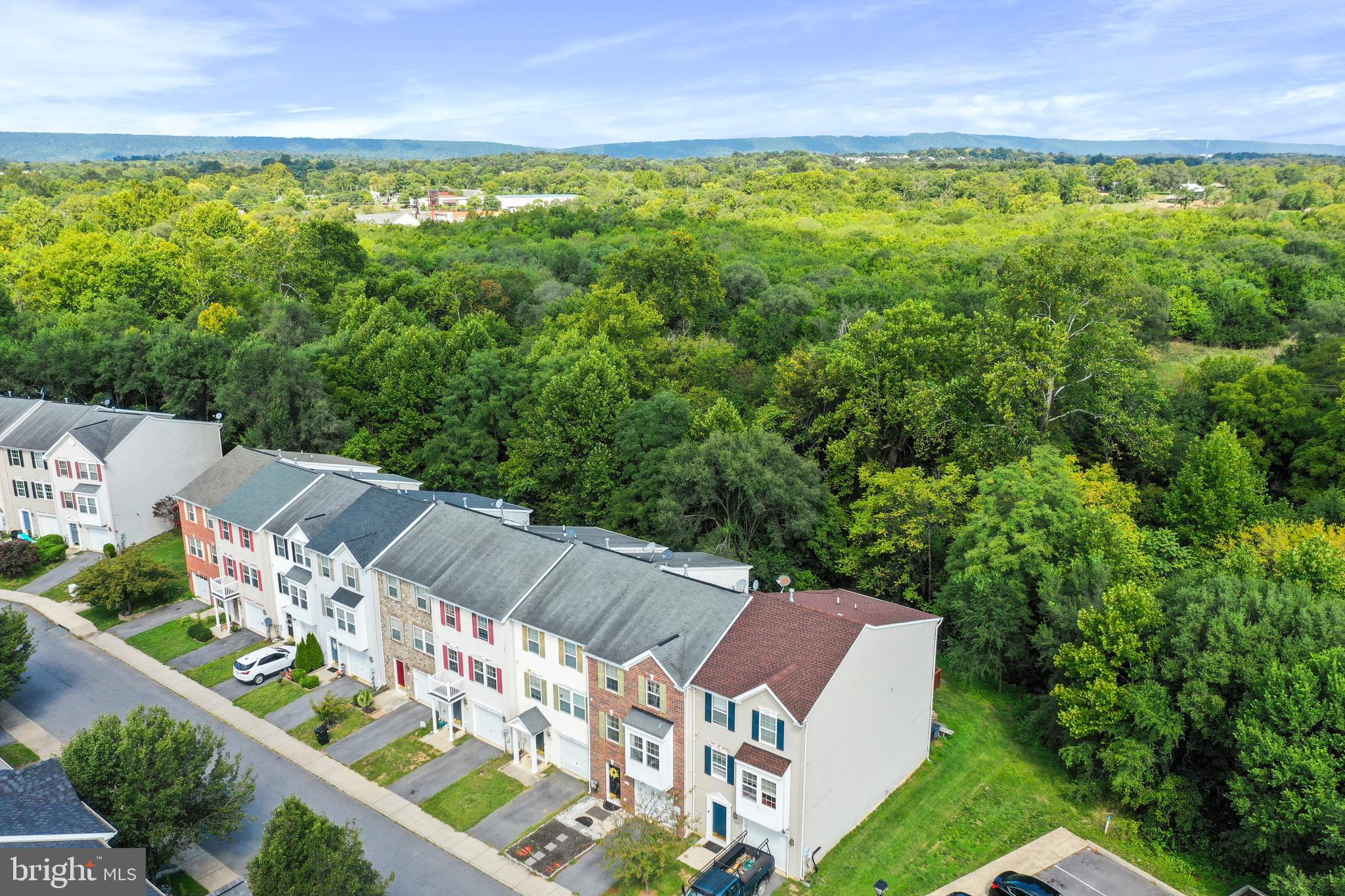 277 Scarboro Dr