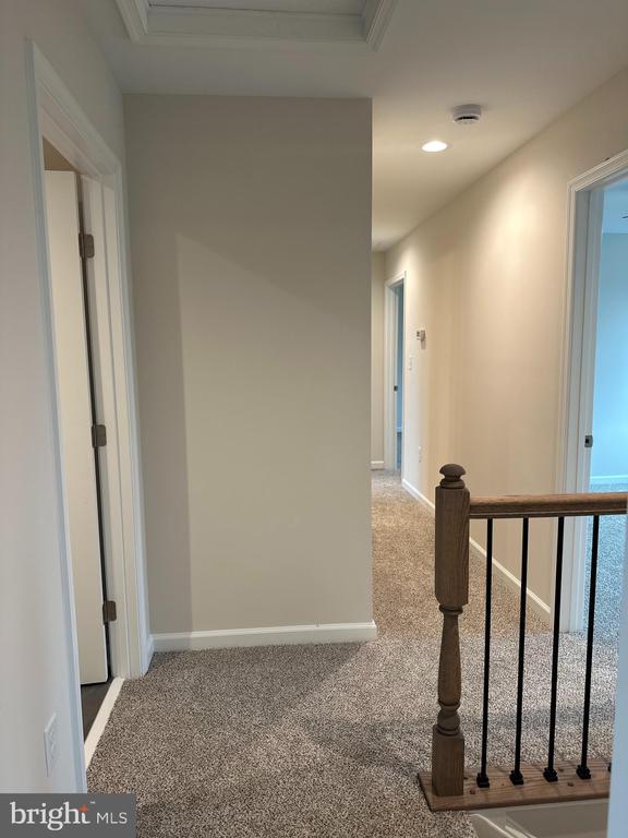 213 JENSEN WAY