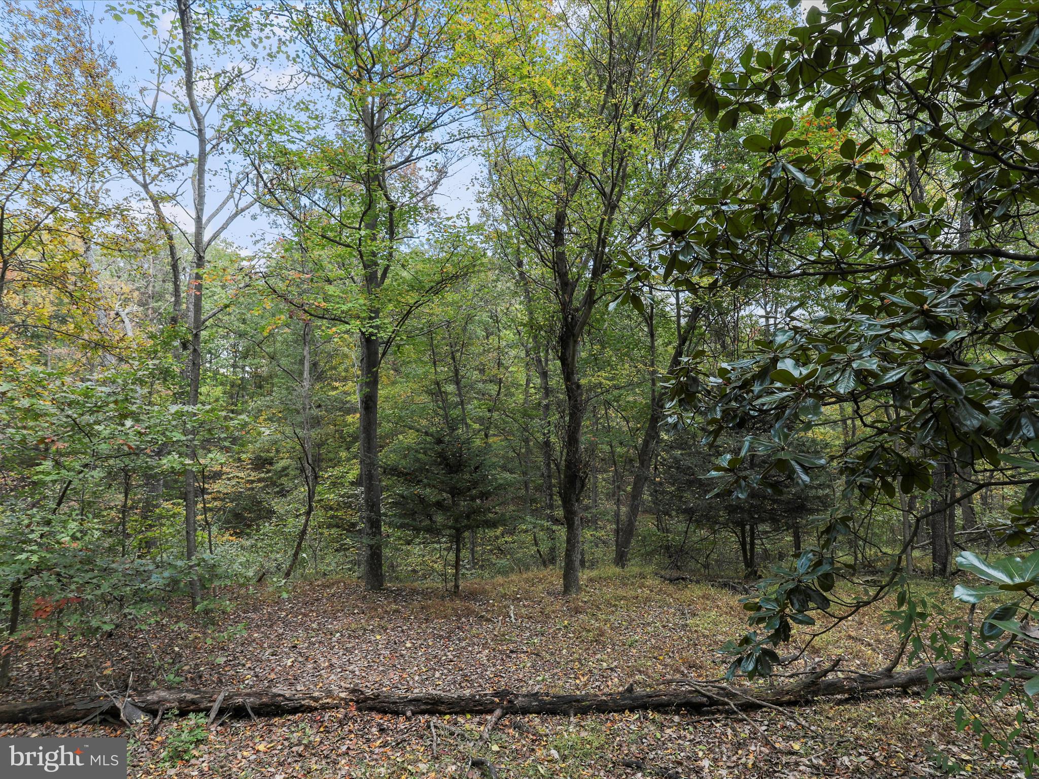 527 MONTEVALLO LANE
