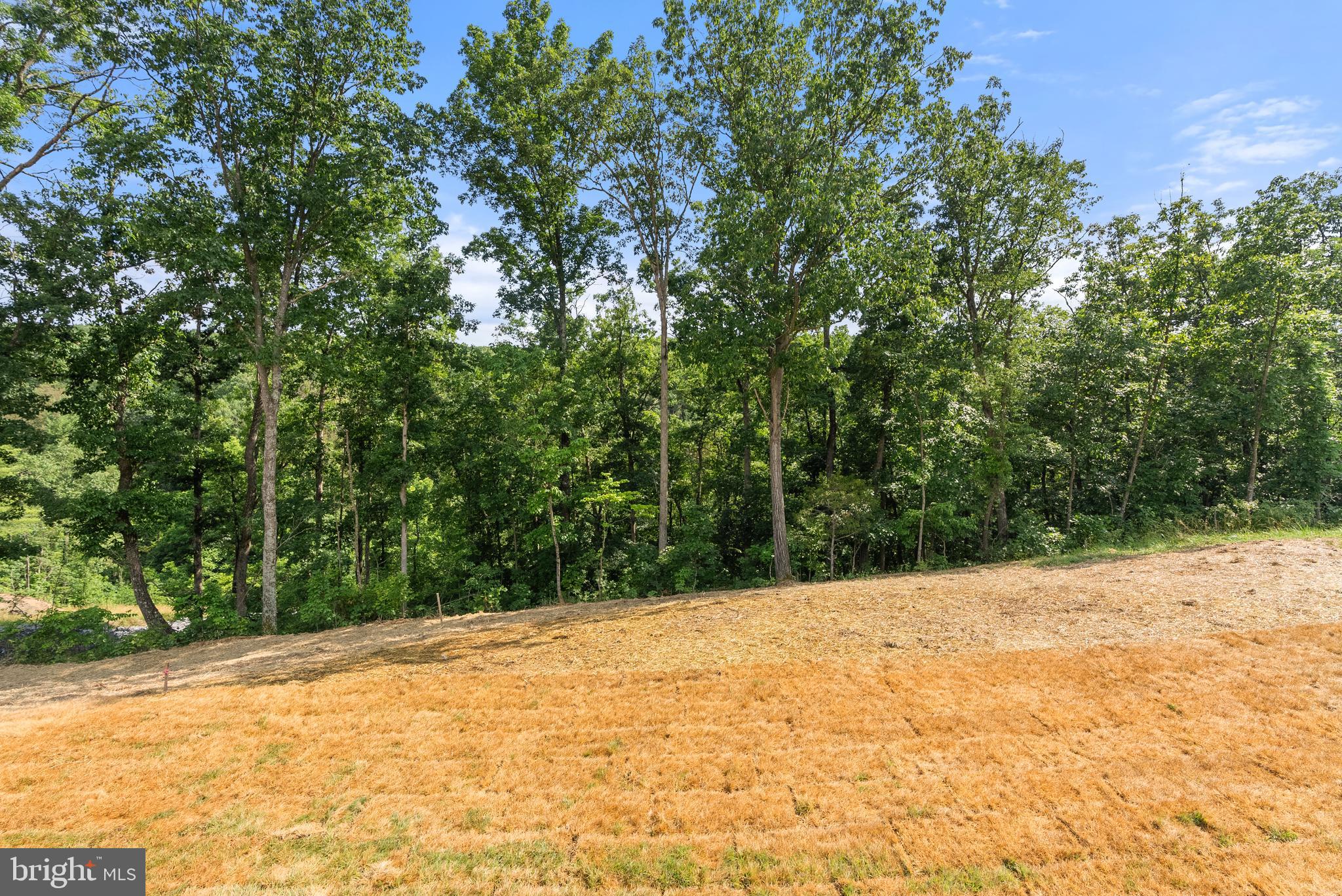 Lot 34 Larimar Ln