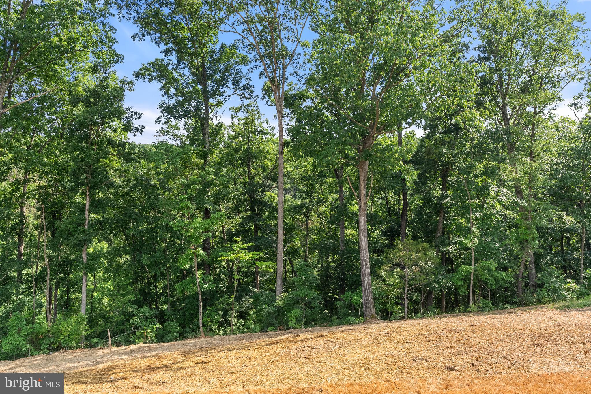 Lot 34 Larimar Ln