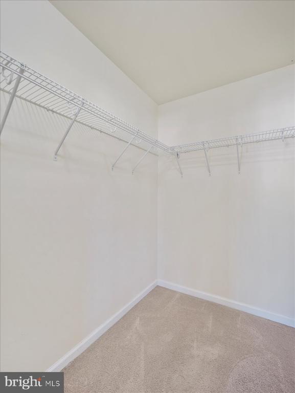35 Montague Way