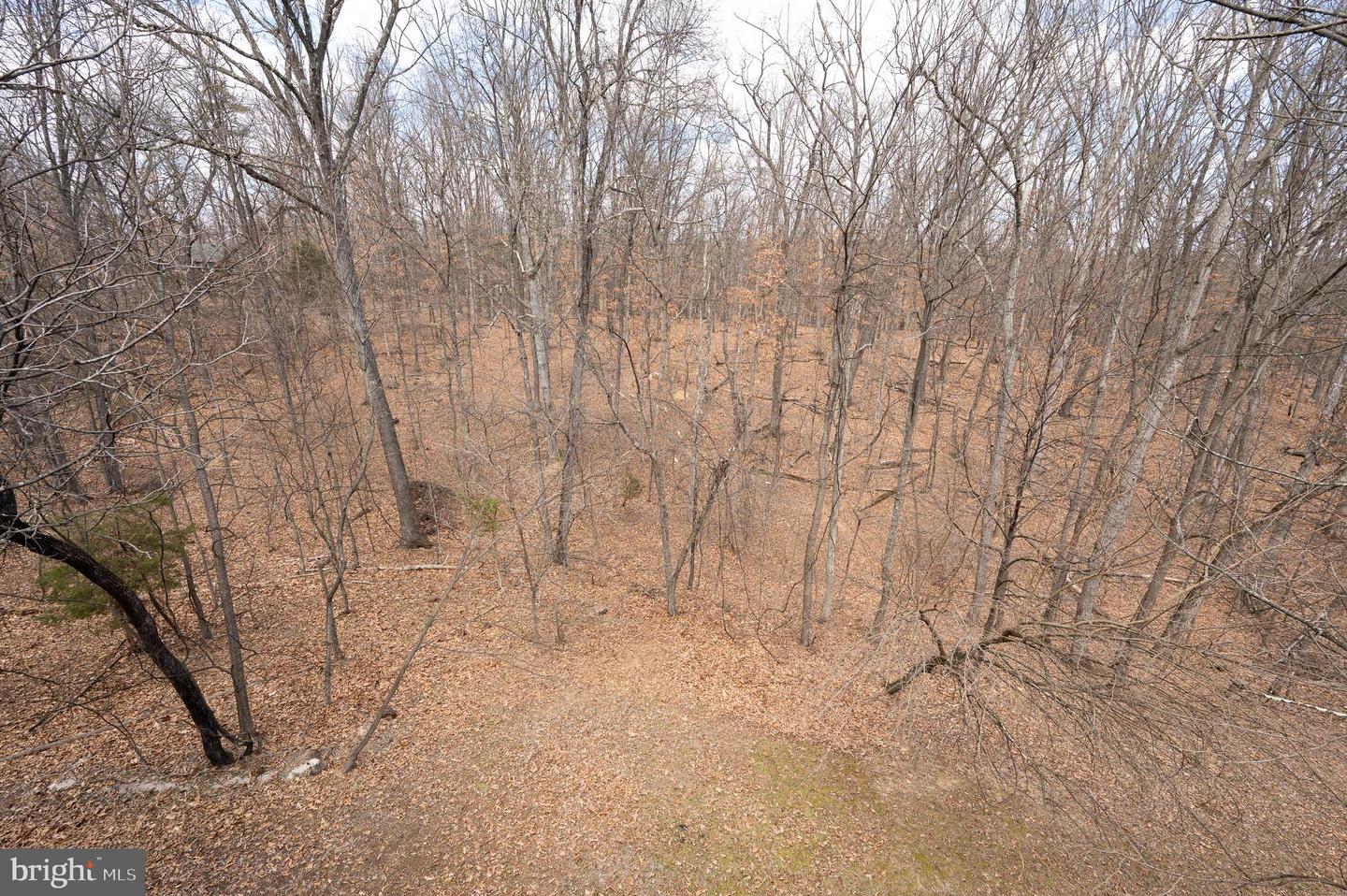395 Zig Zag Ln