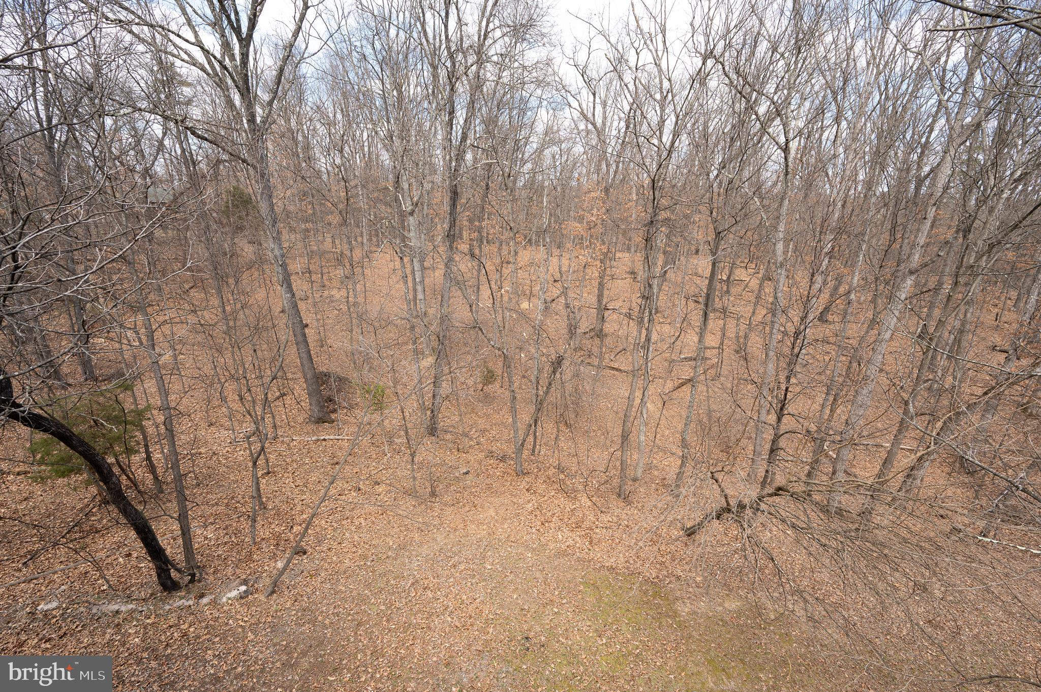 395 Zig Zag Ln