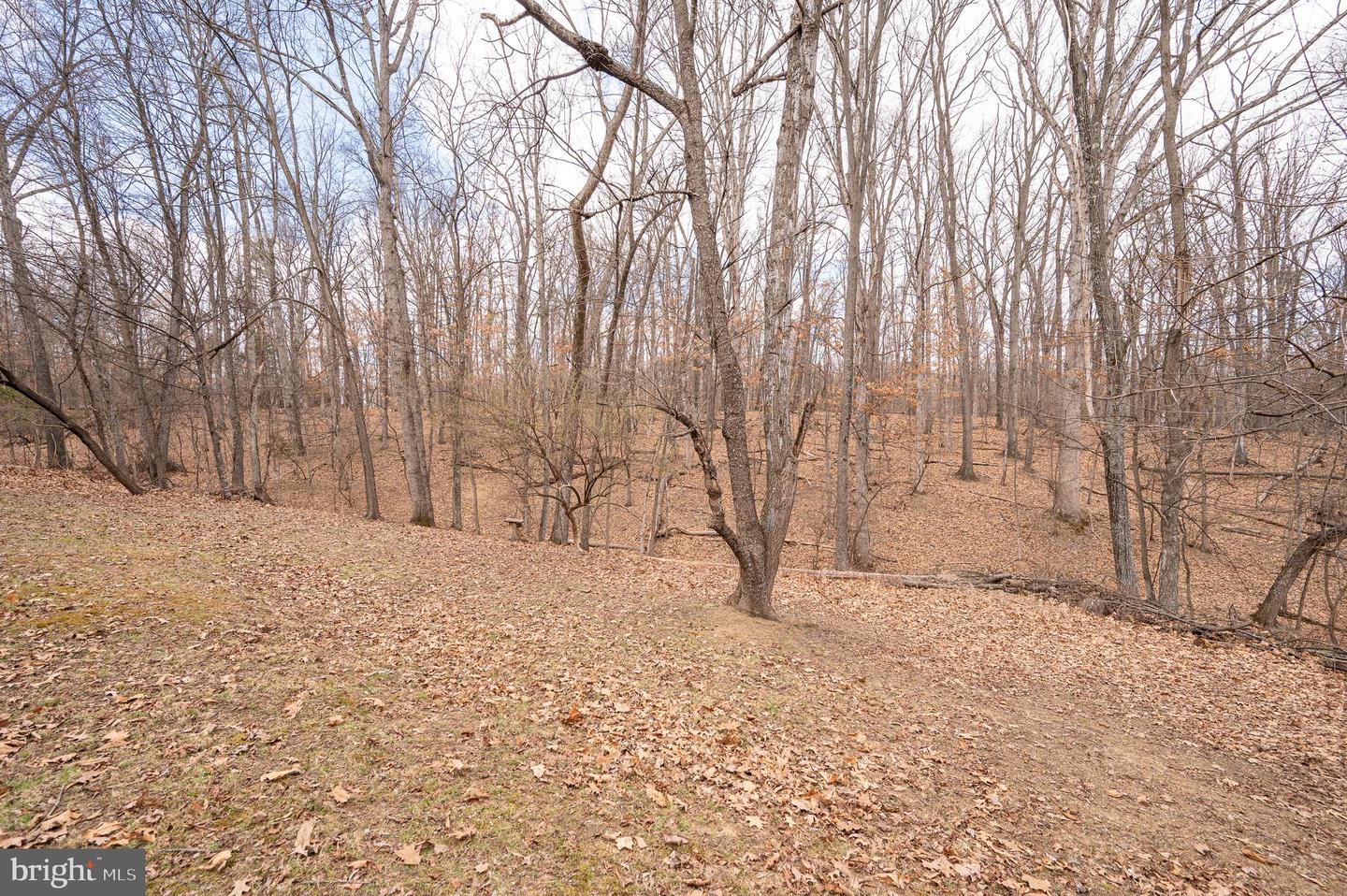 395 Zig Zag Ln