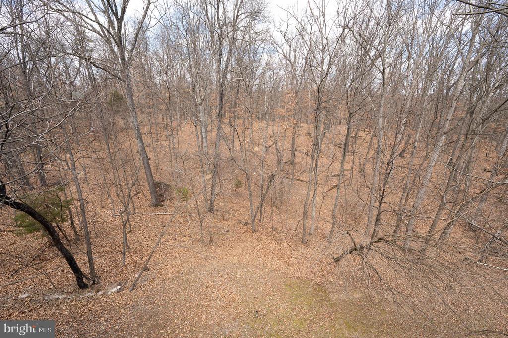 395 Zig Zag Ln