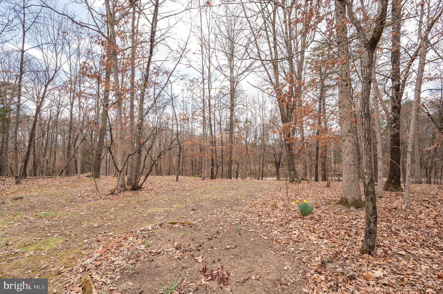 395 Zig Zag Ln