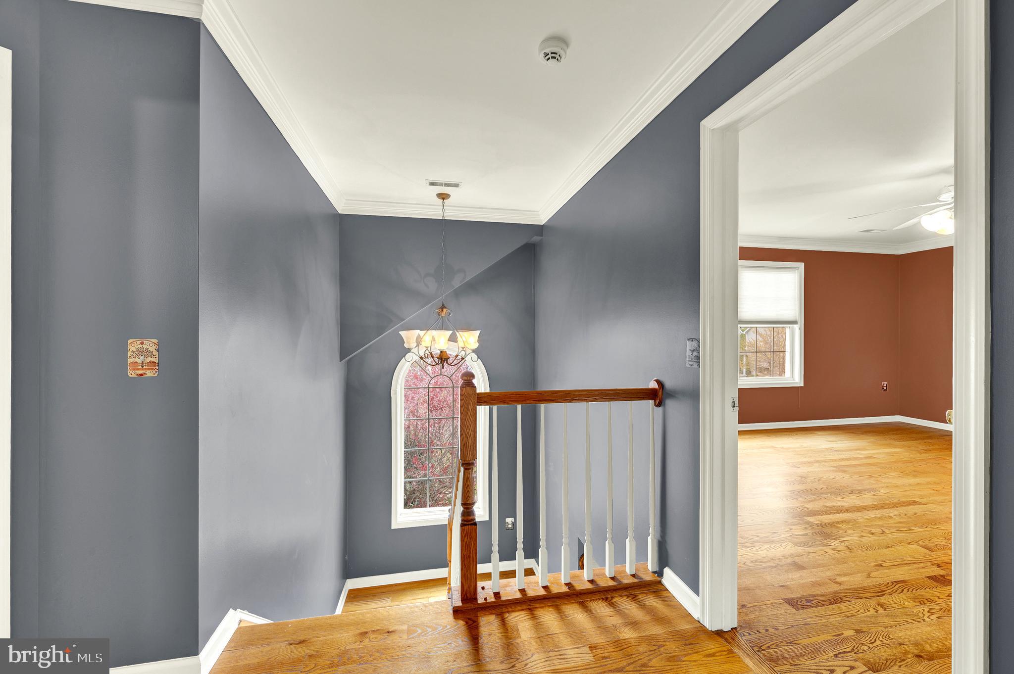 258 WEBBER SPRINGS DRIVE