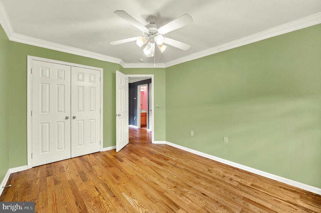 258 WEBBER SPRINGS DRIVE