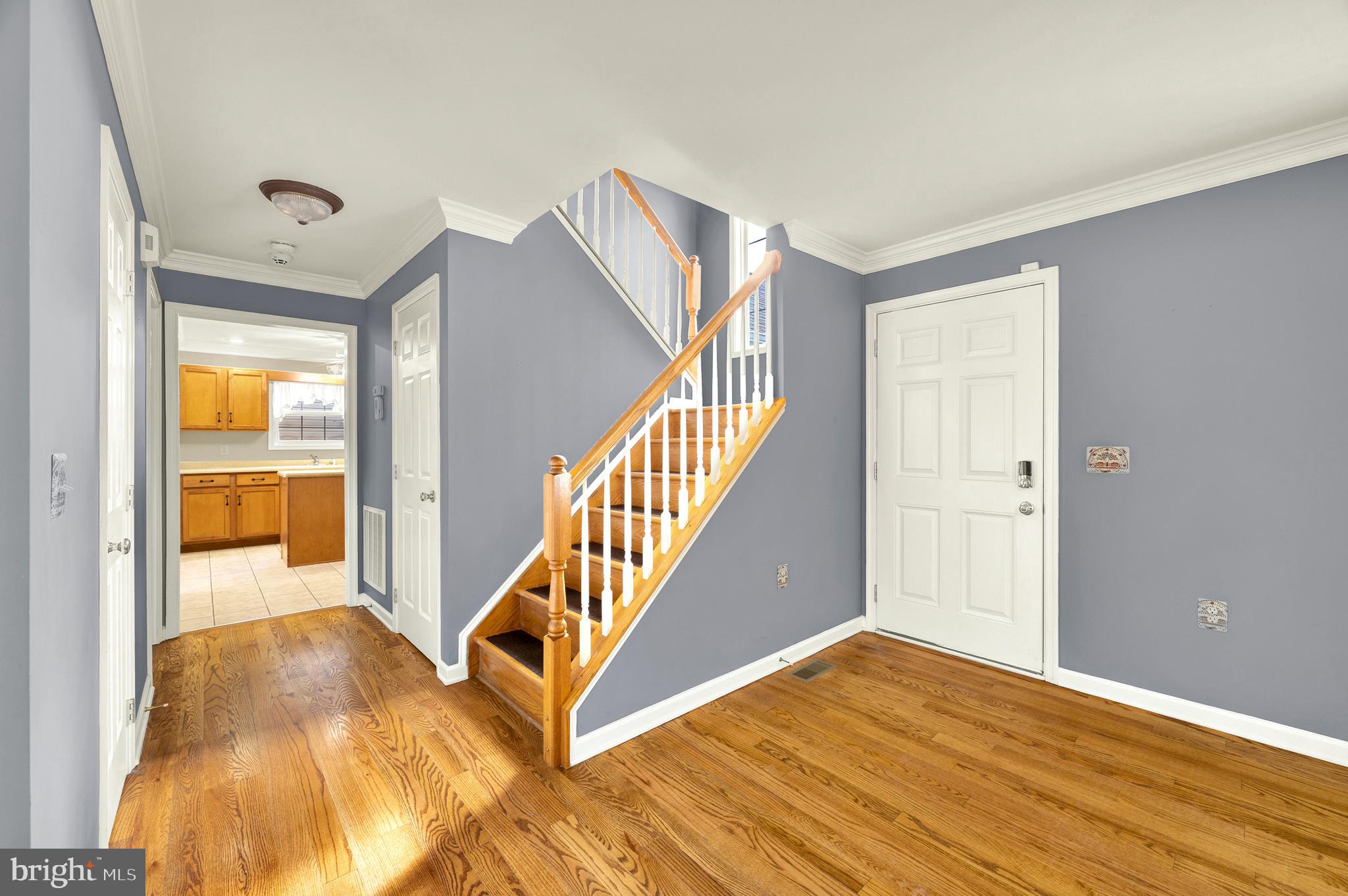 258 WEBBER SPRINGS DRIVE