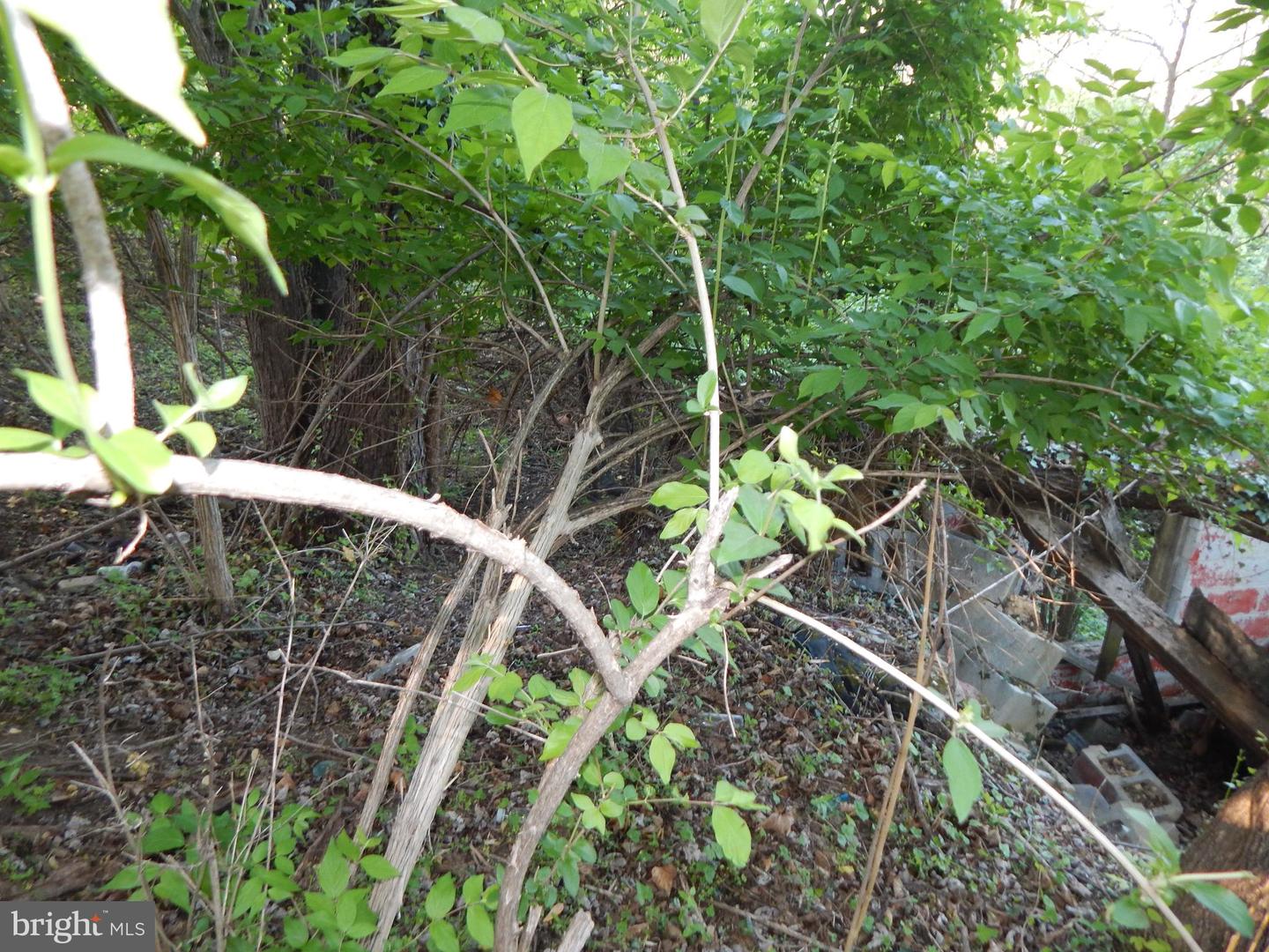 Lot 91 Siebert St