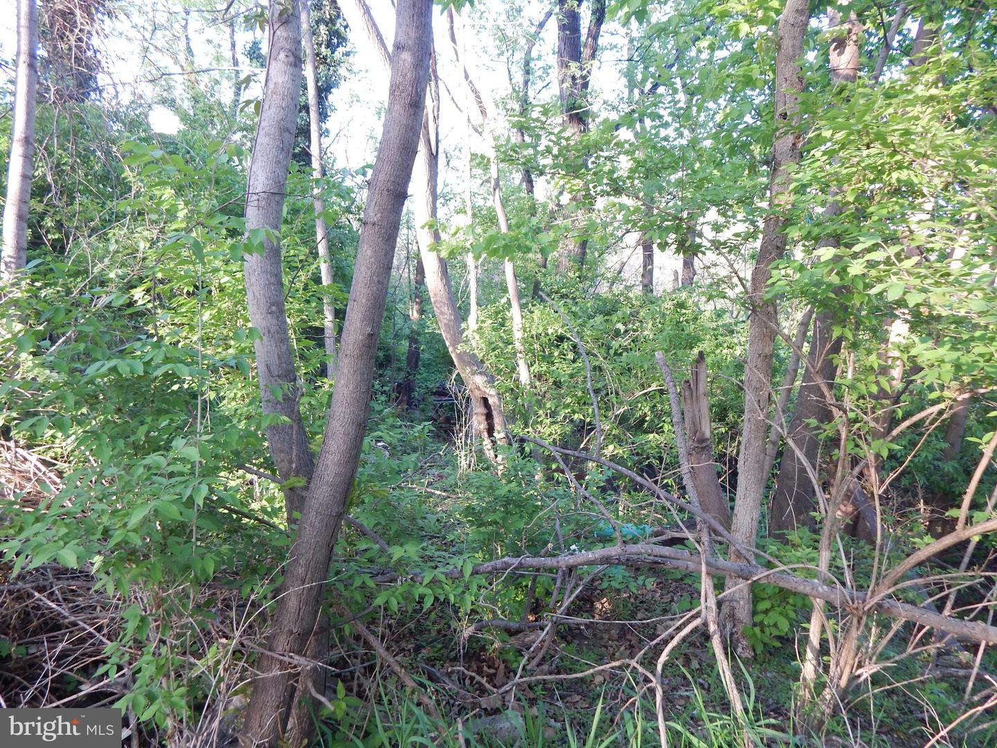 Lot 91 Siebert St