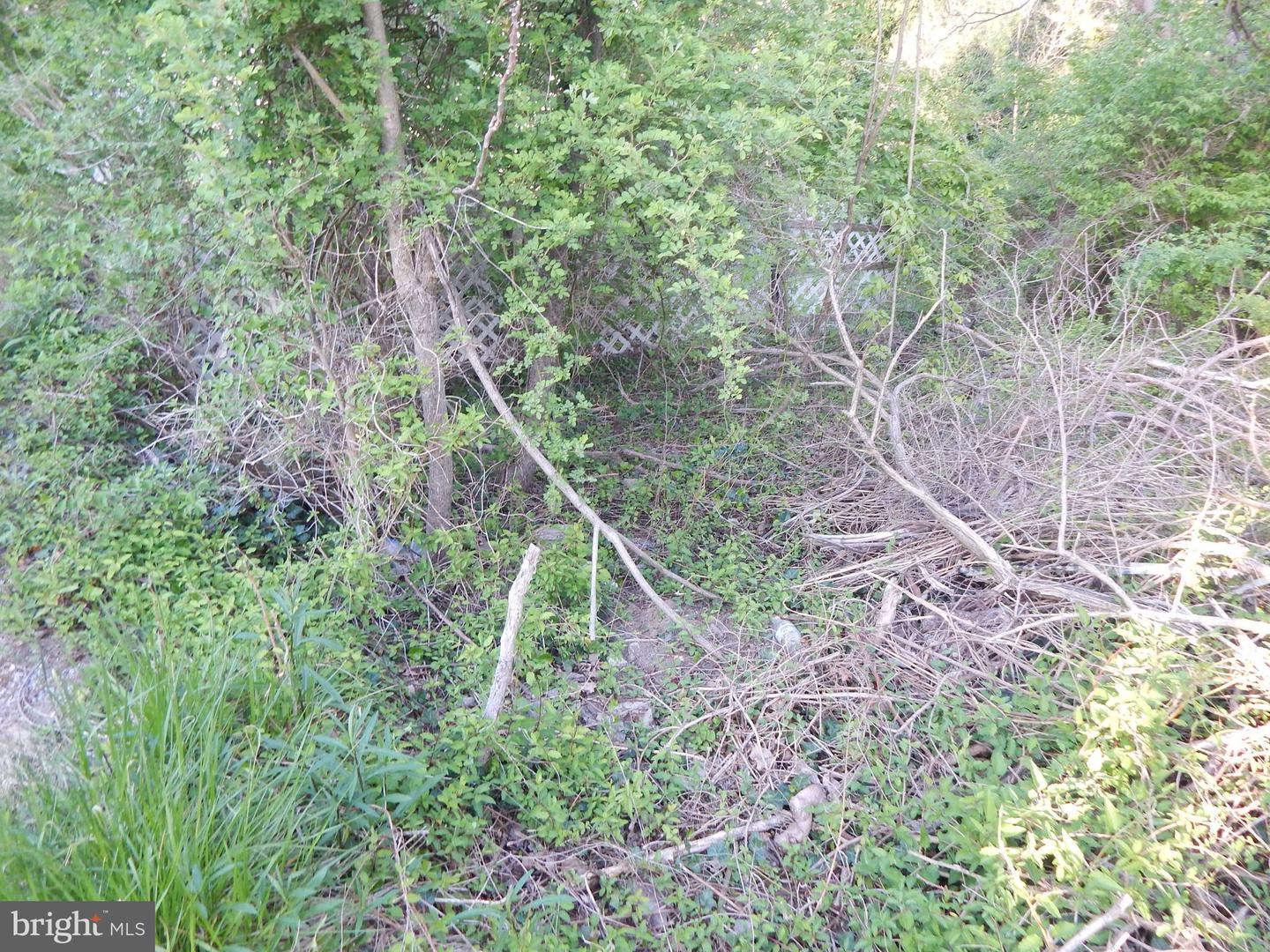 Lot 91 Siebert St