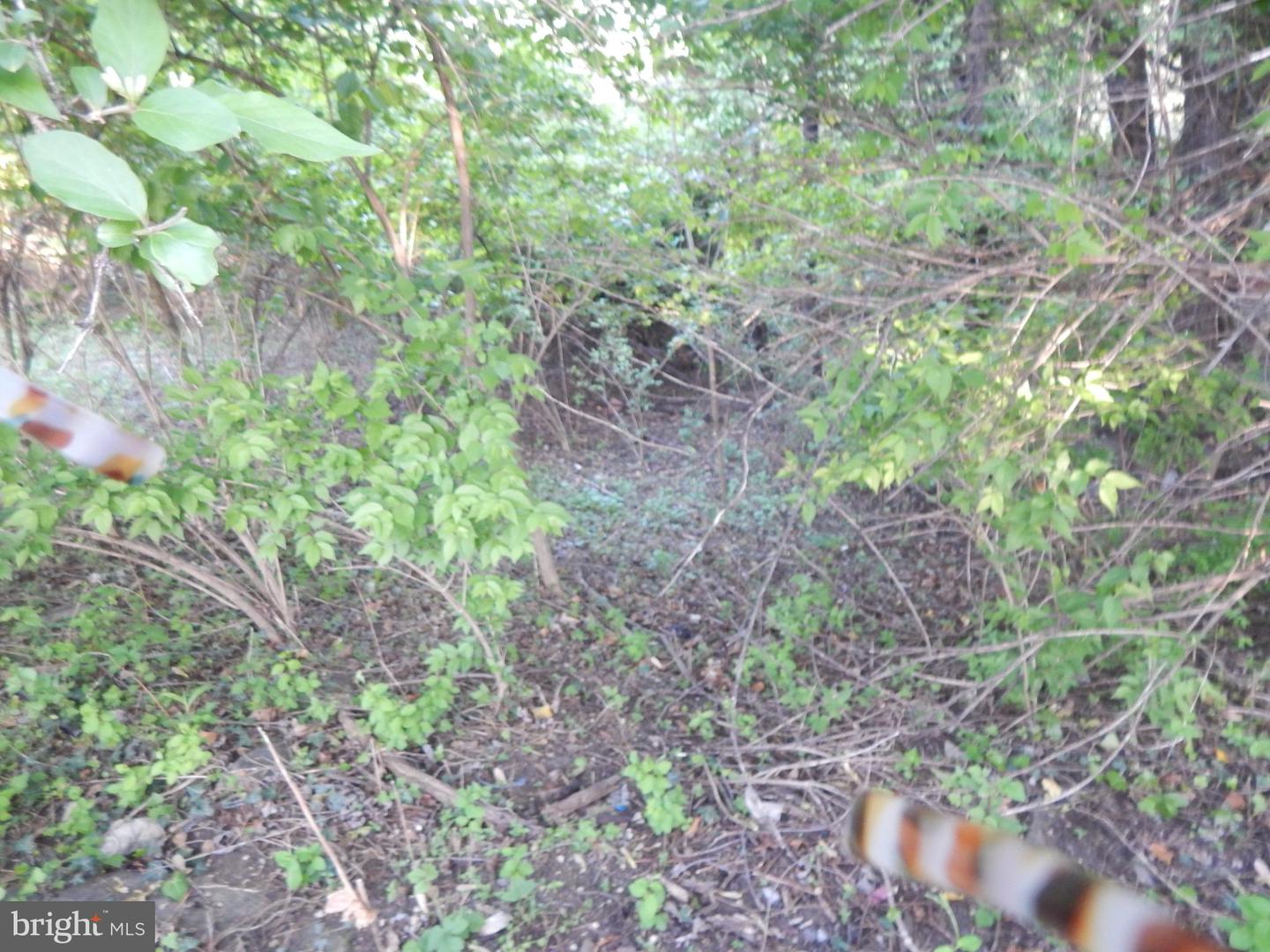 Lot 91 Siebert St