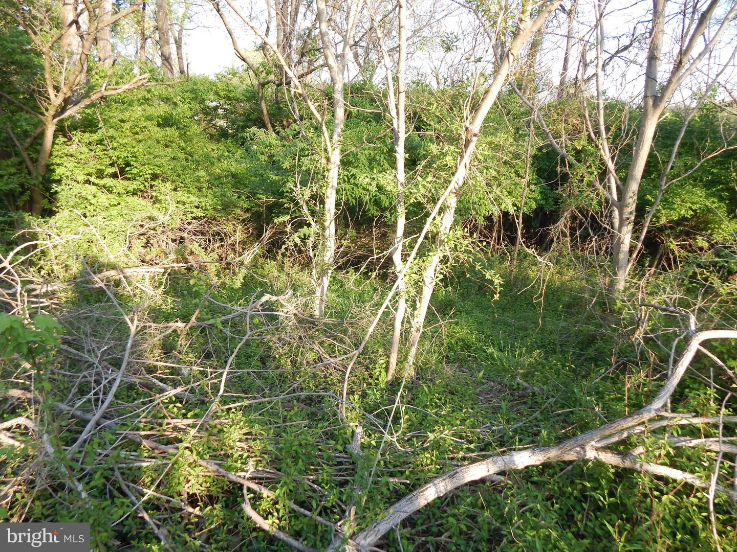 Lot 91 Siebert St