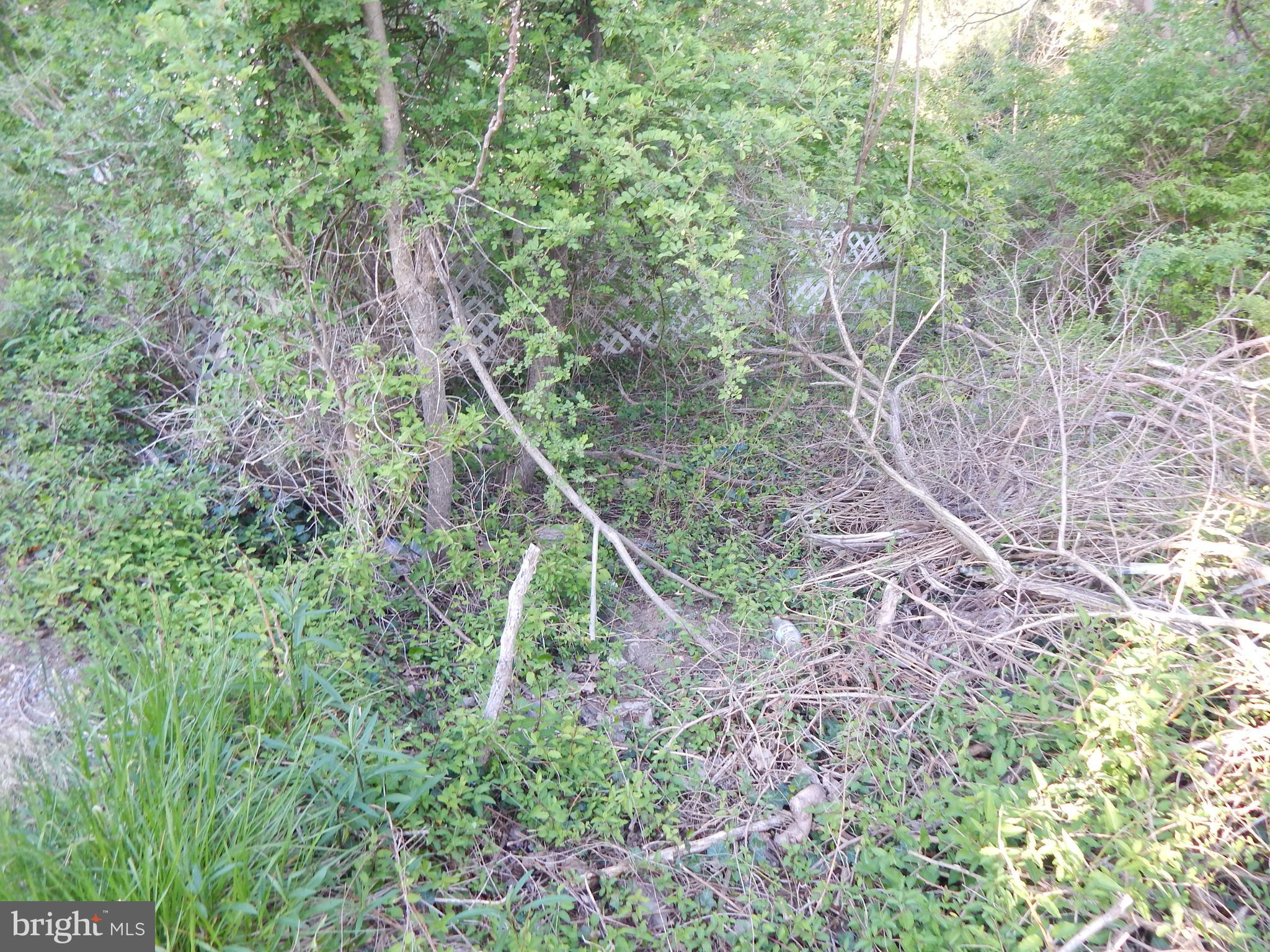 Lot 91 Siebert St