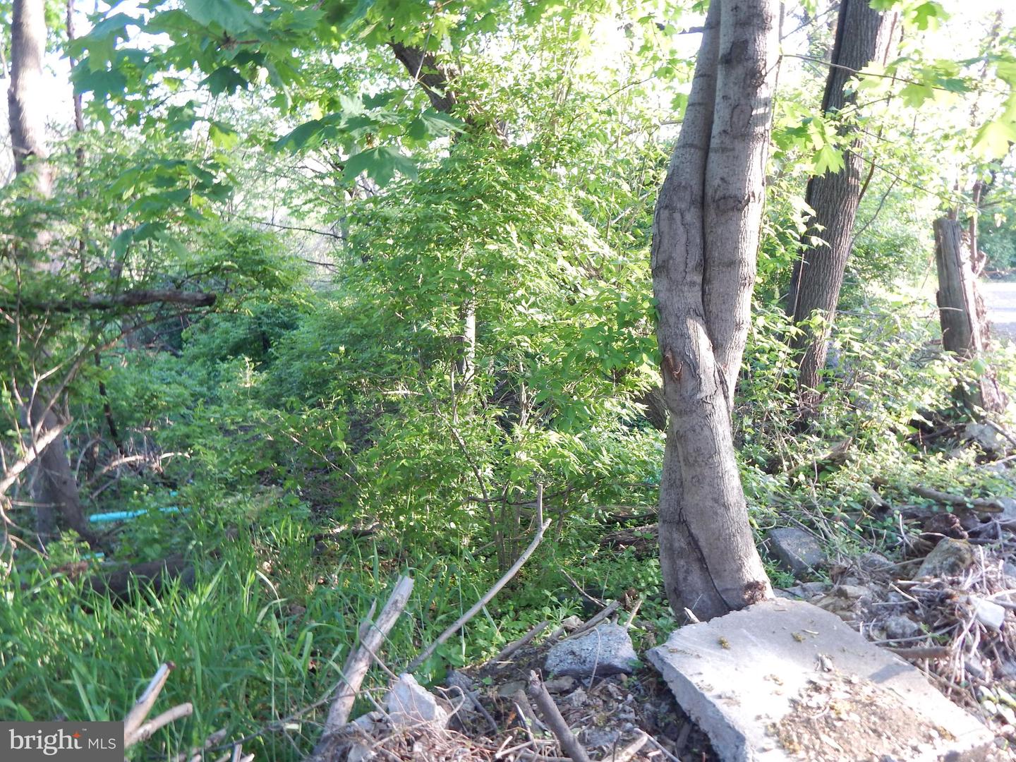 Lot 91 Siebert St