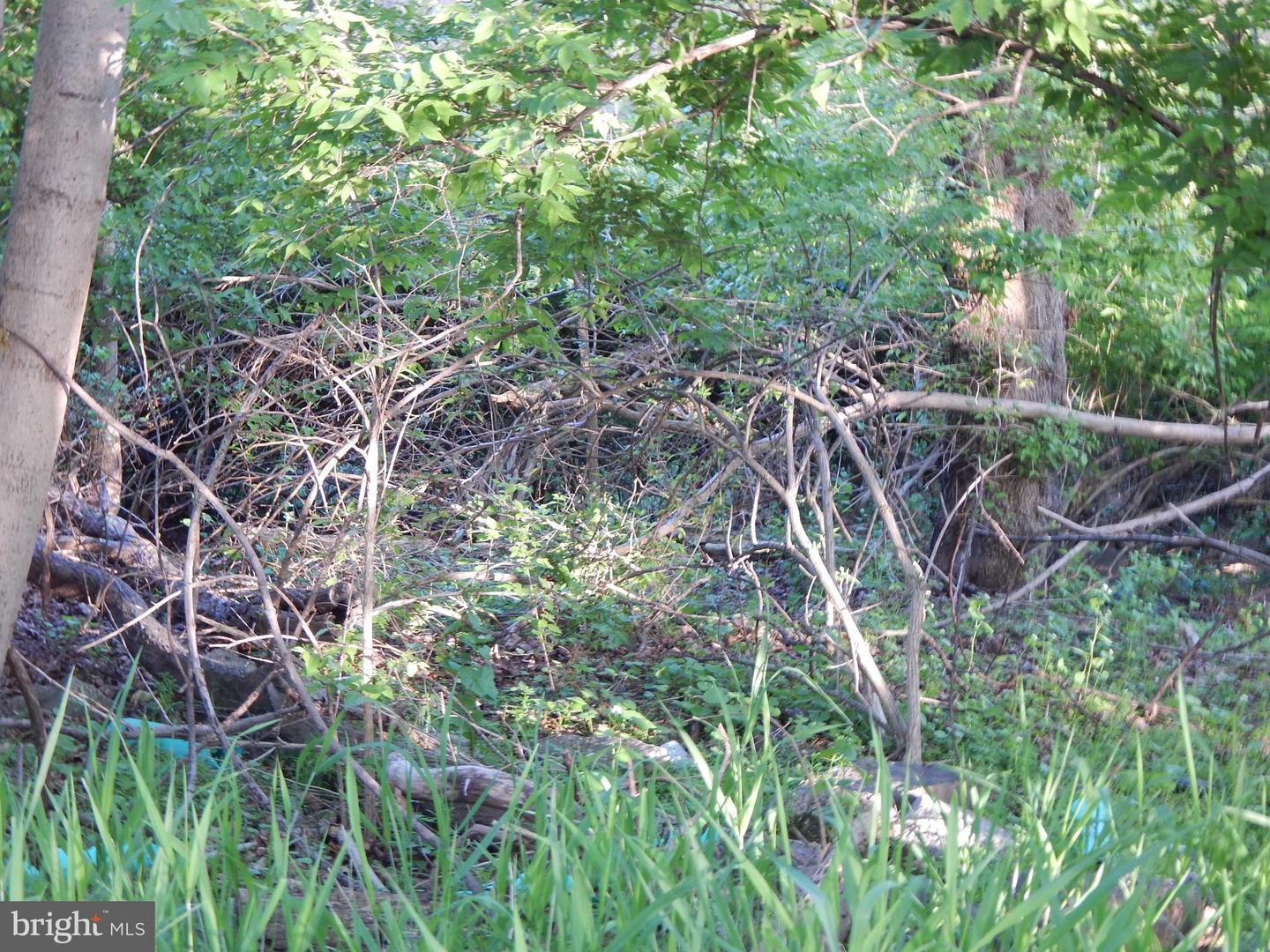 Lot 91 Siebert St