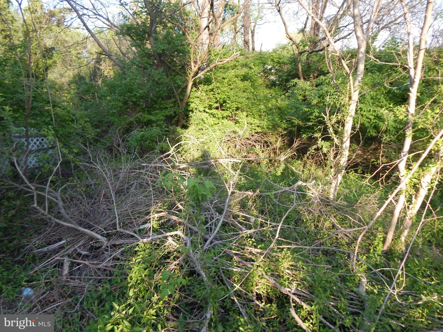 Lot 91 Siebert St
