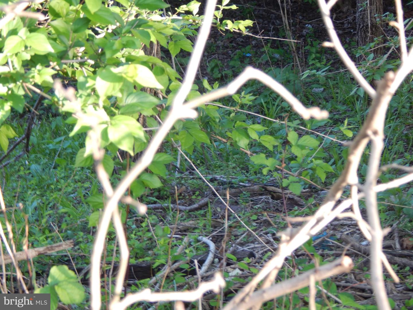 Lot 91 Siebert St