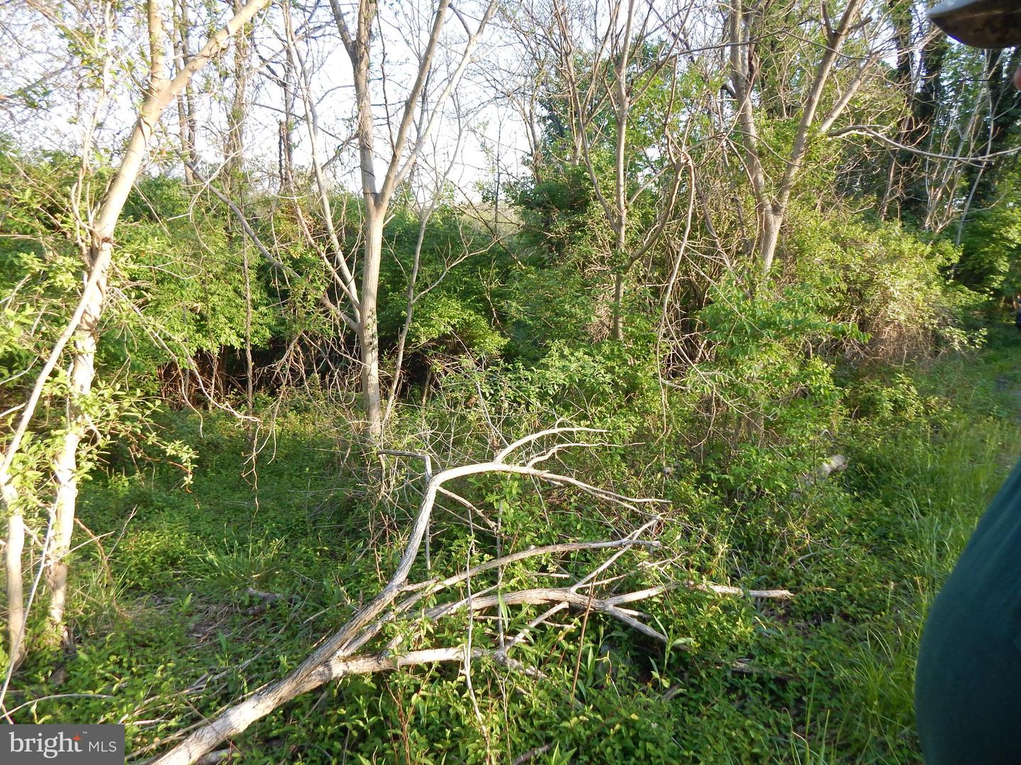 Lot 91 Siebert St
