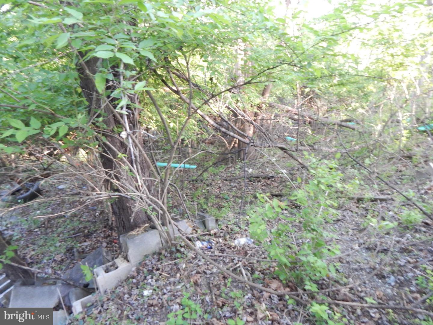 Lot 93 Siebert St