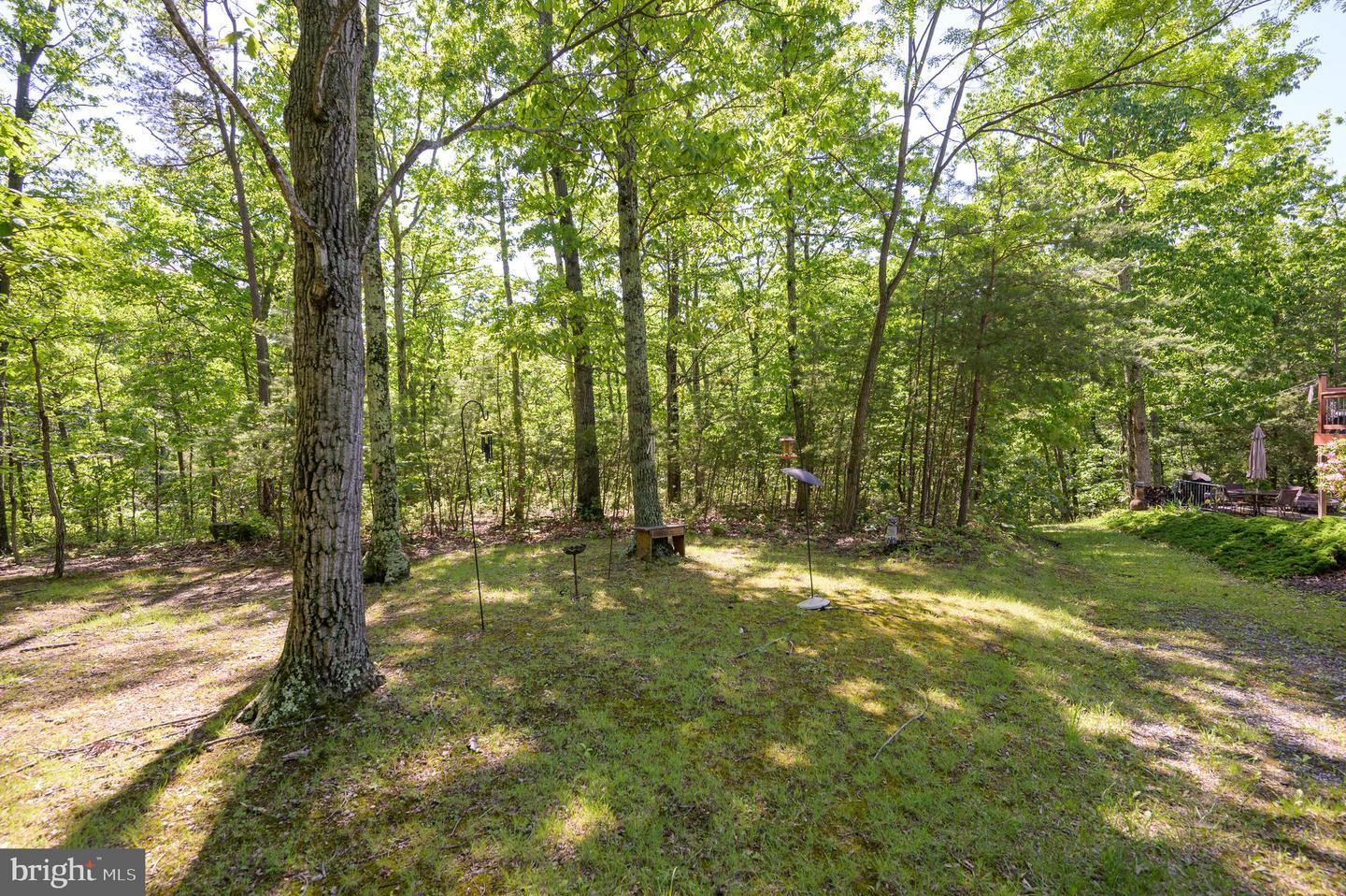 523 Zig Zag Ln