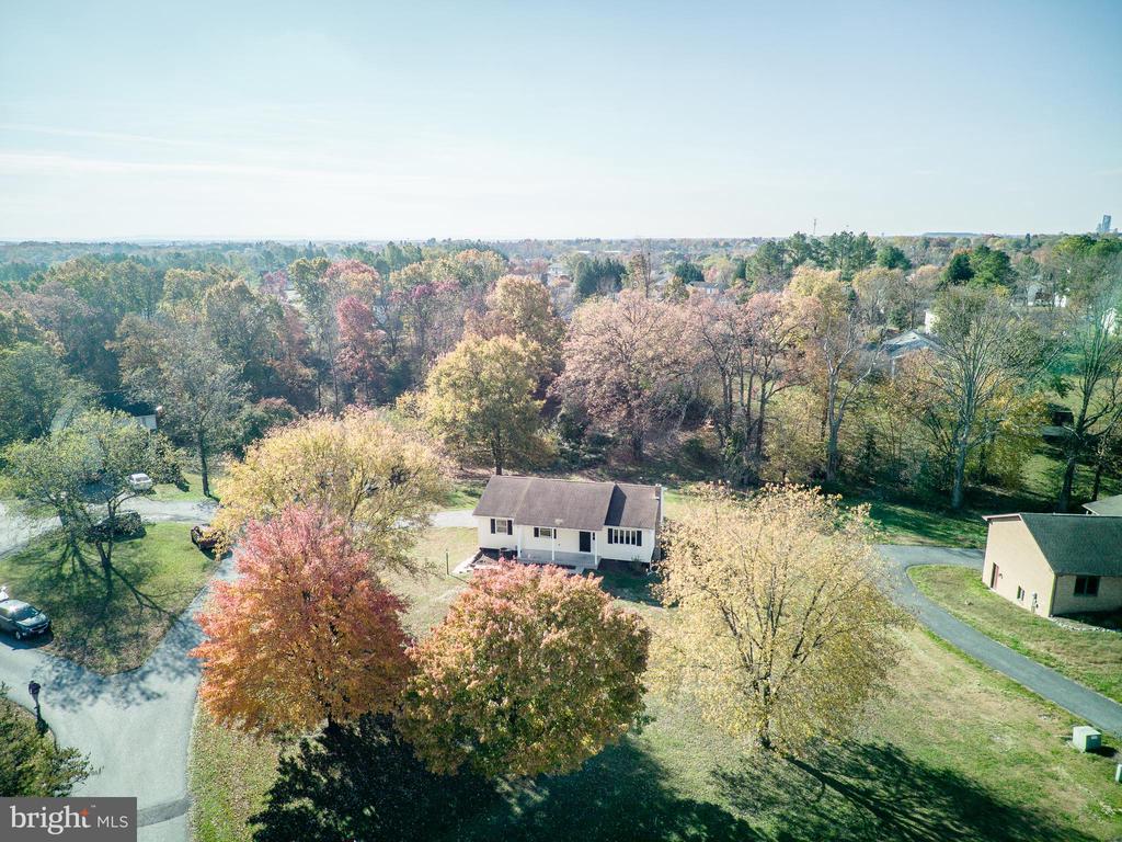 CLIFFORD DRIVE
