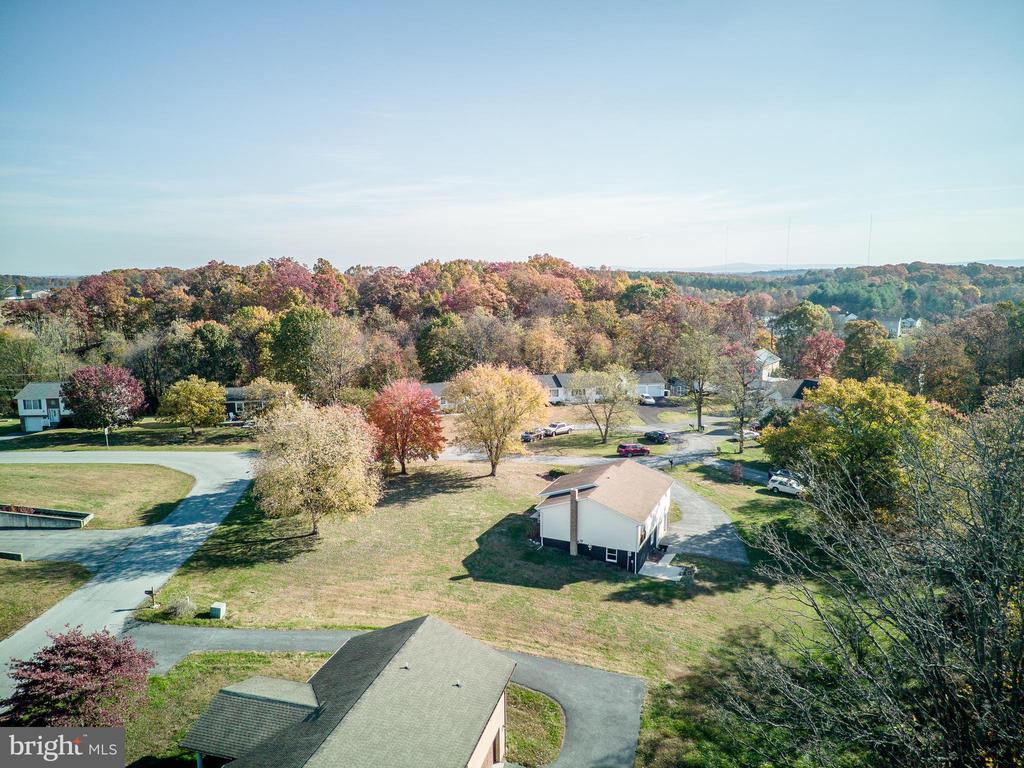 CLIFFORD DRIVE