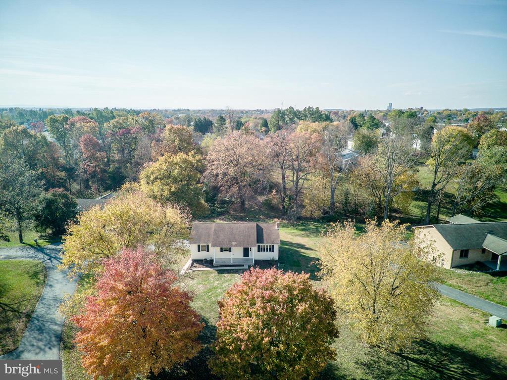 CLIFFORD DRIVE