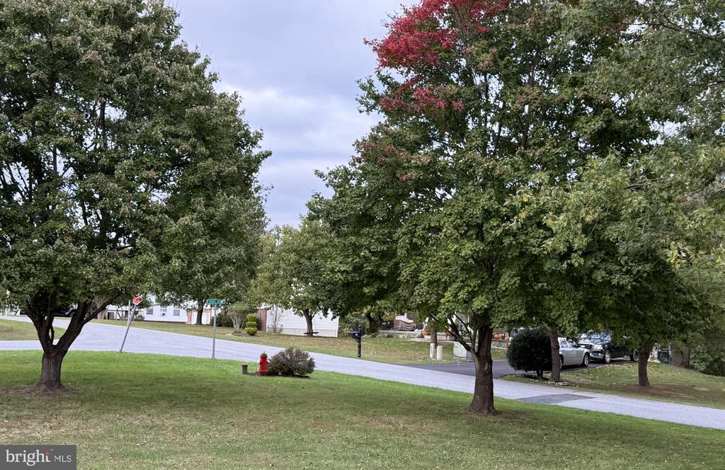 CLIFFORD DRIVE