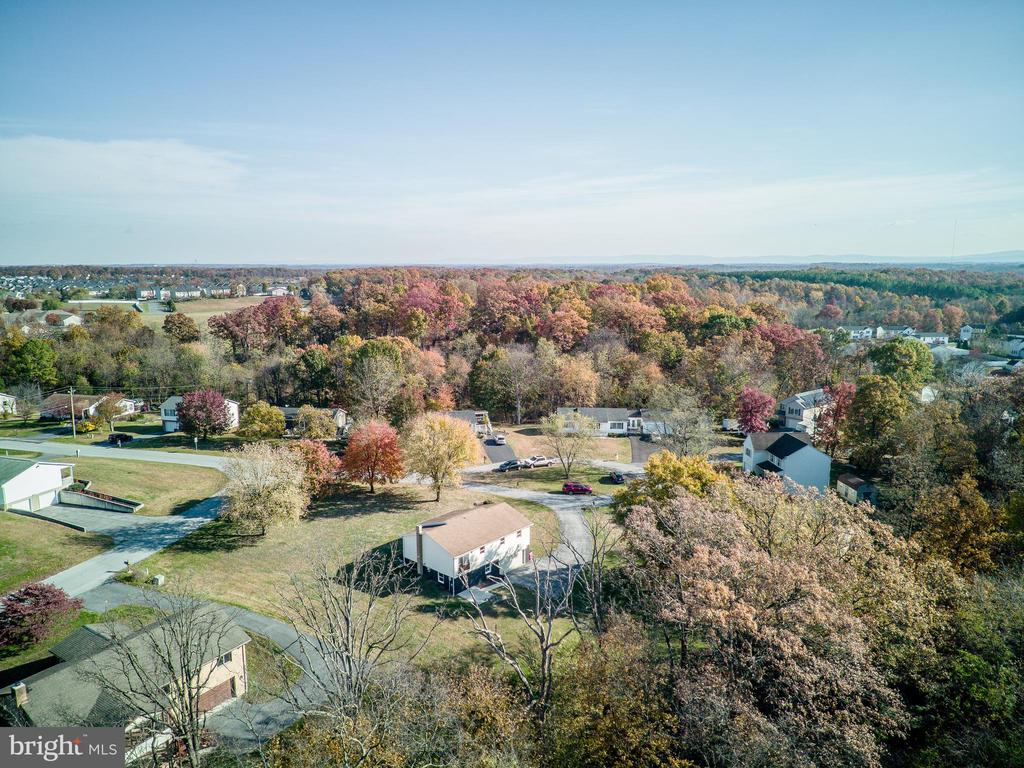 CLIFFORD DRIVE