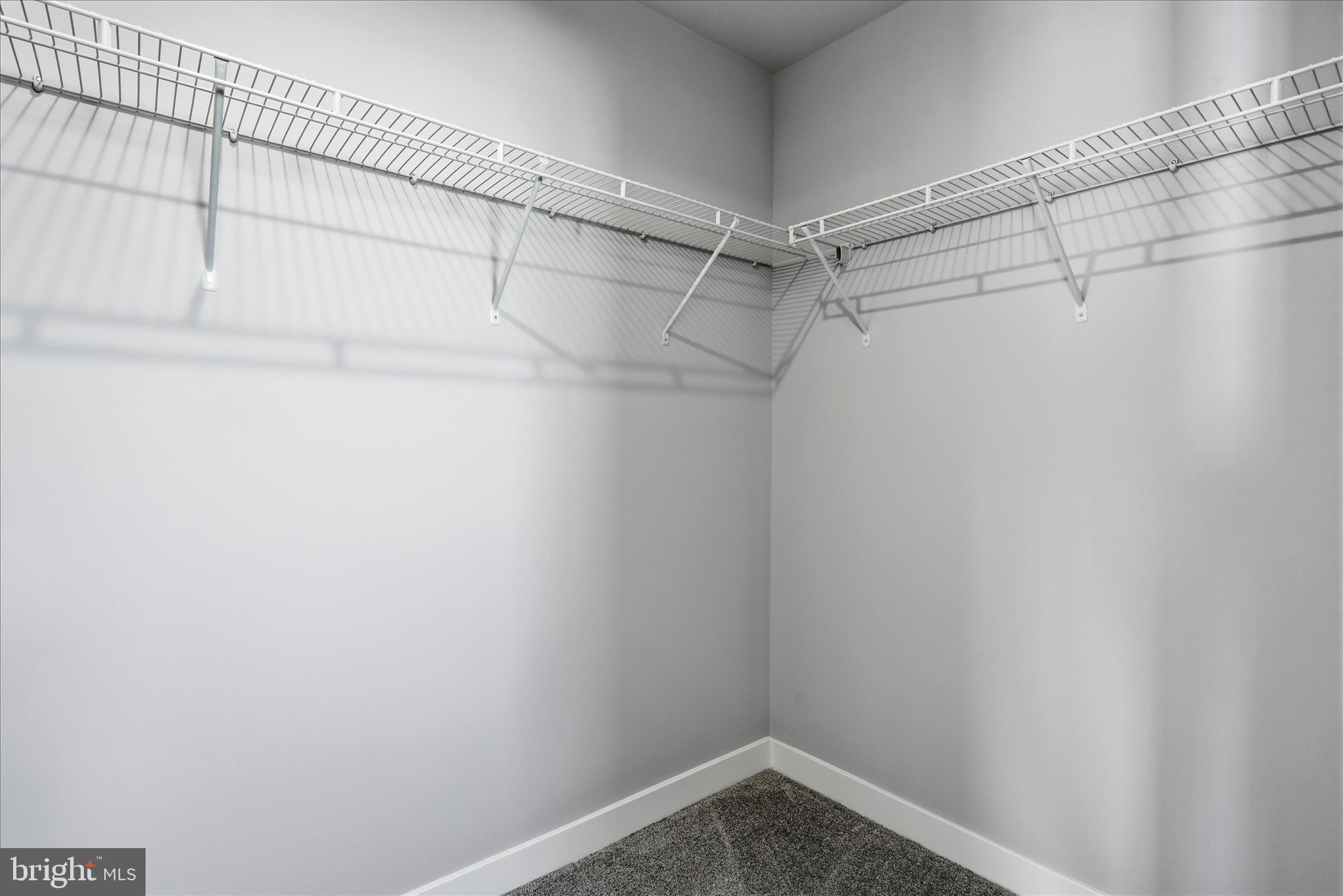 313 SWITCHGRASS COURT