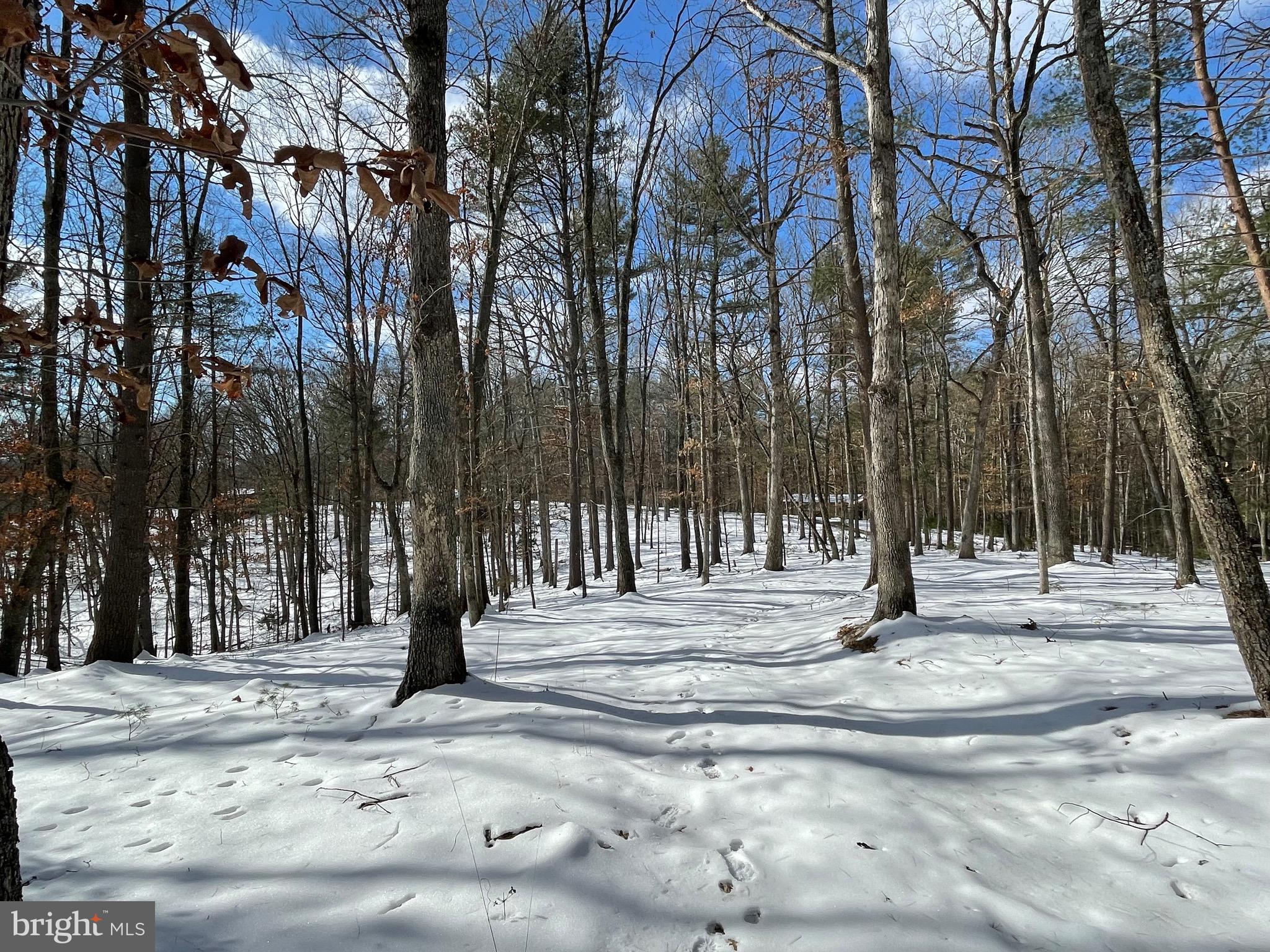 633 Snyders Ridge Rd