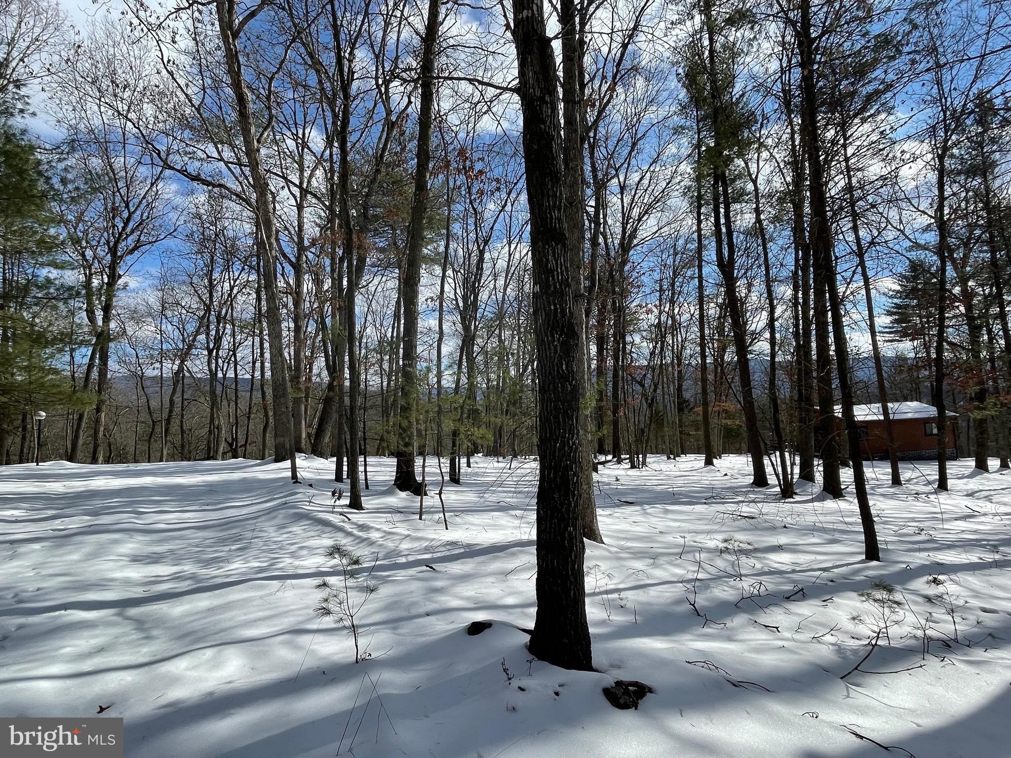 633 Snyders Ridge Rd