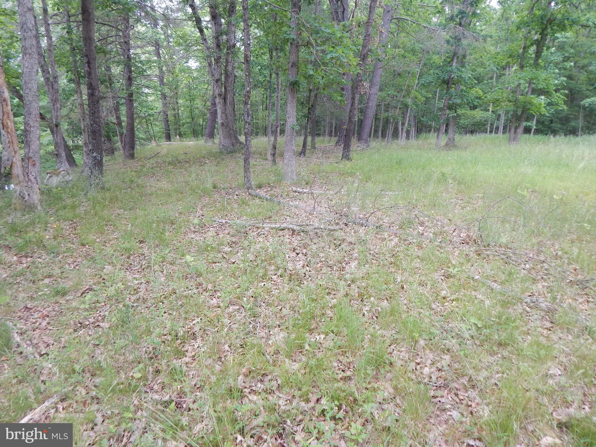 Riverwood TRAIL