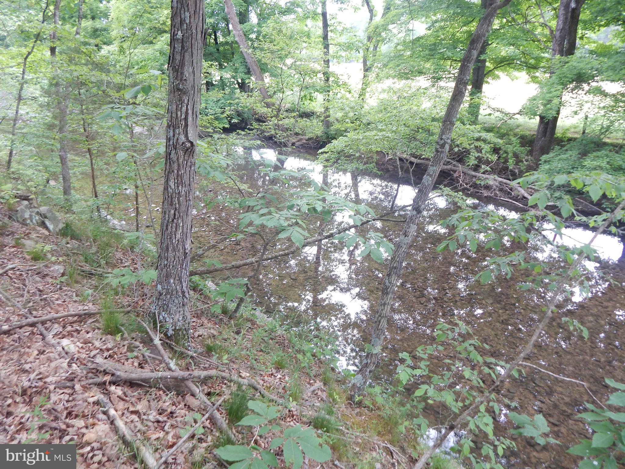 Riverwood TRAIL