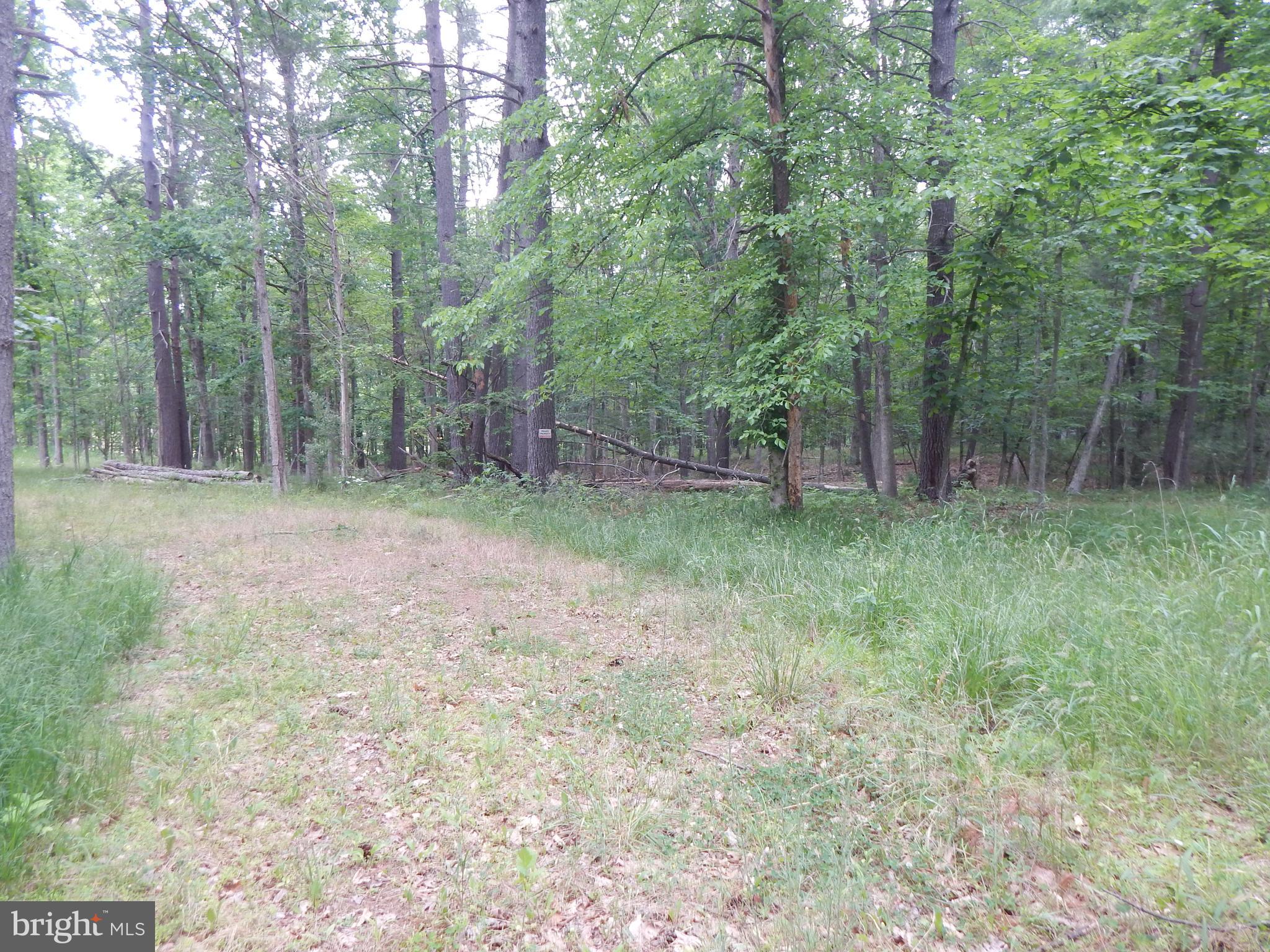 Riverwood TRAIL