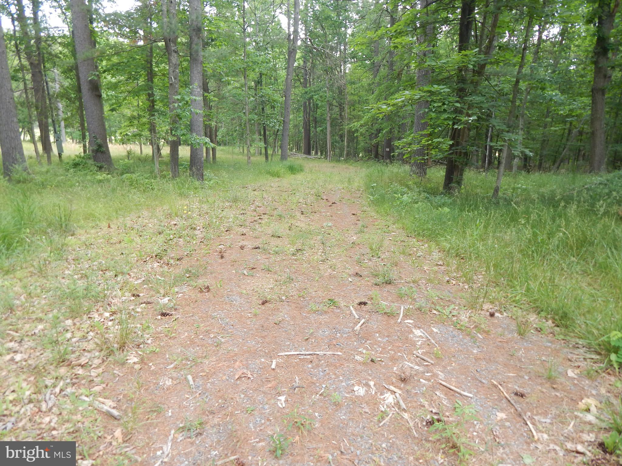 Riverwood TRAIL