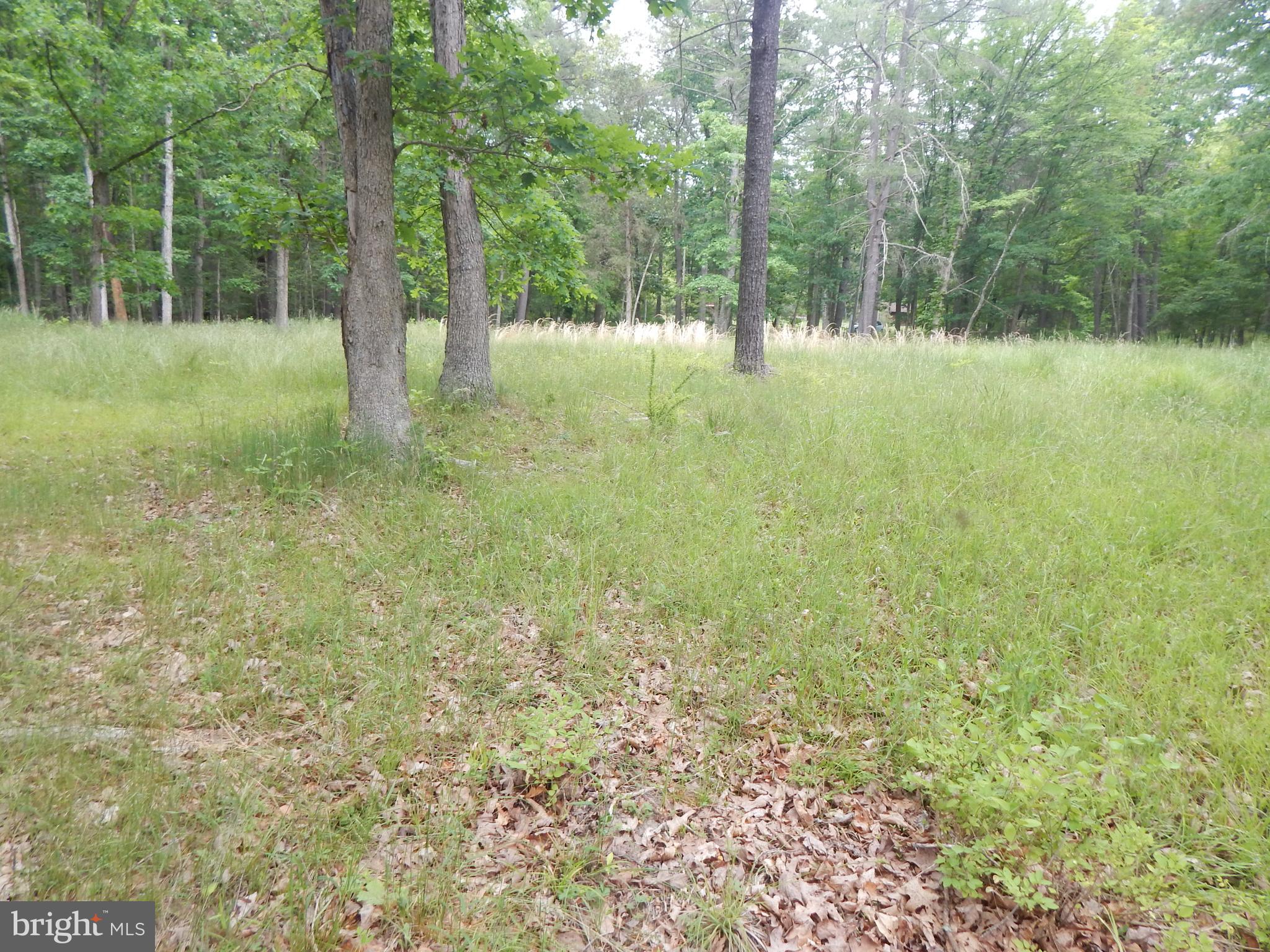 Riverwood TRAIL