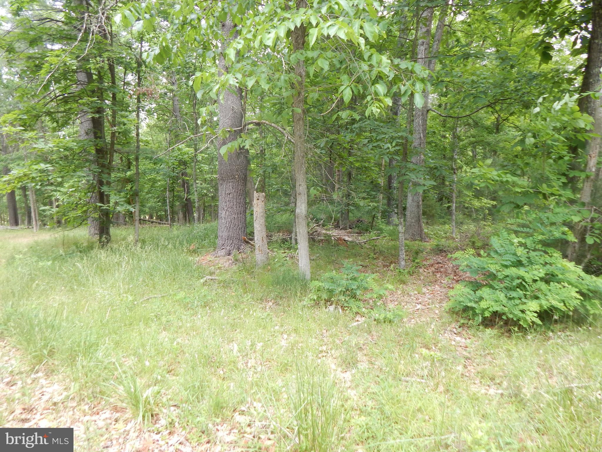 Riverwood TRAIL